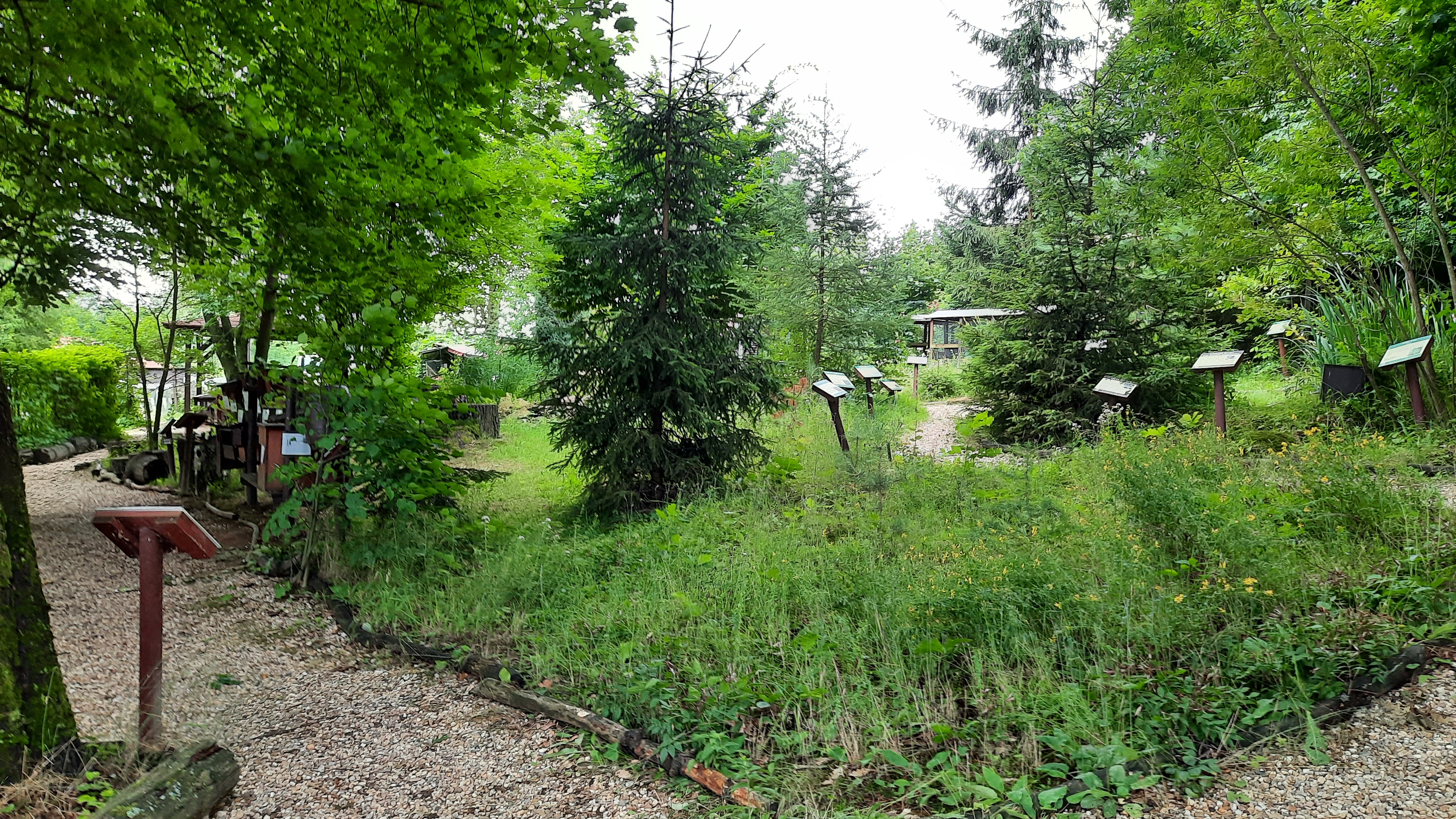 Muzeum přírody Český ráj o. s. foto 4