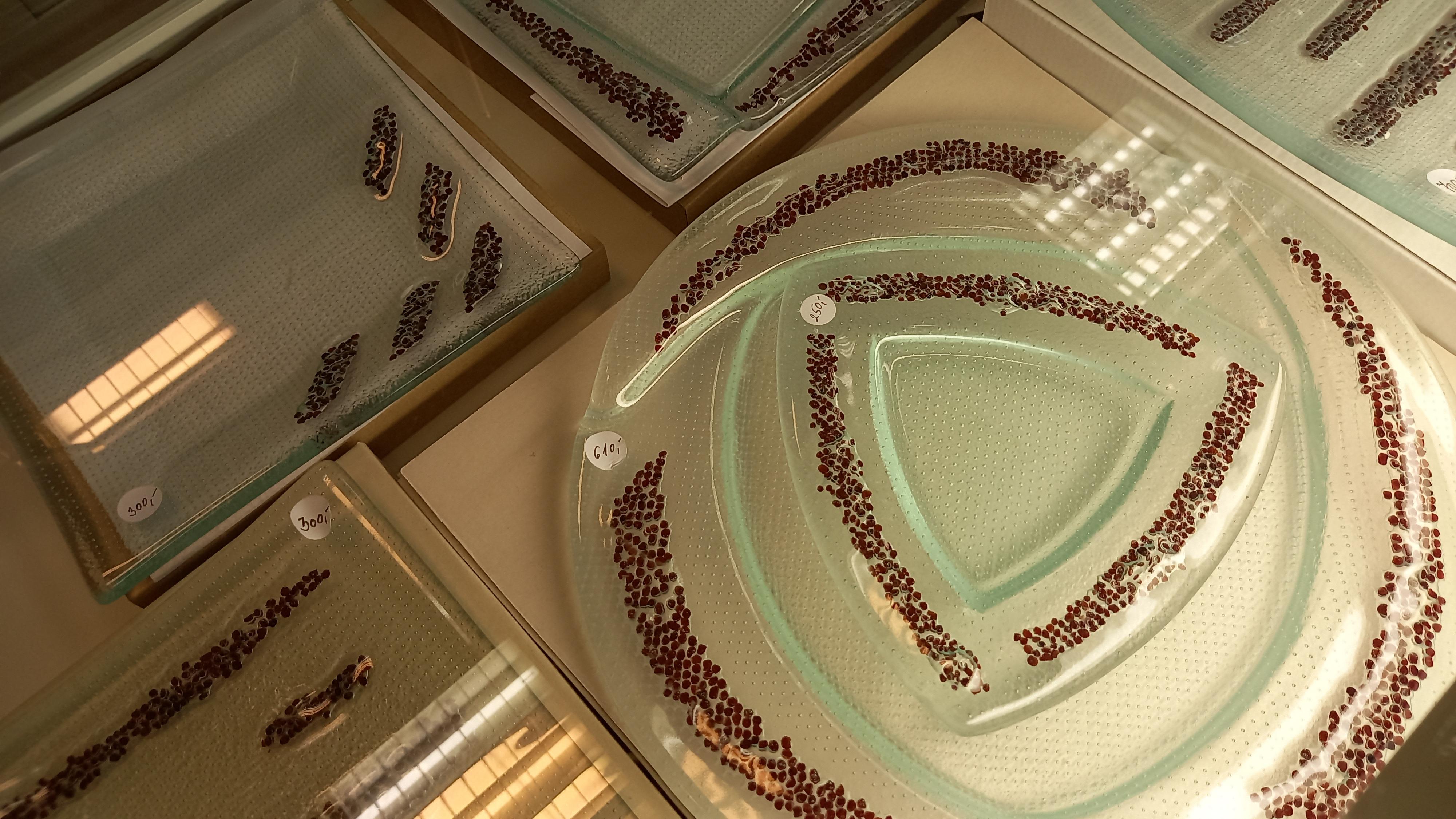 Granát - galerie a zákaznické centrum foto 6