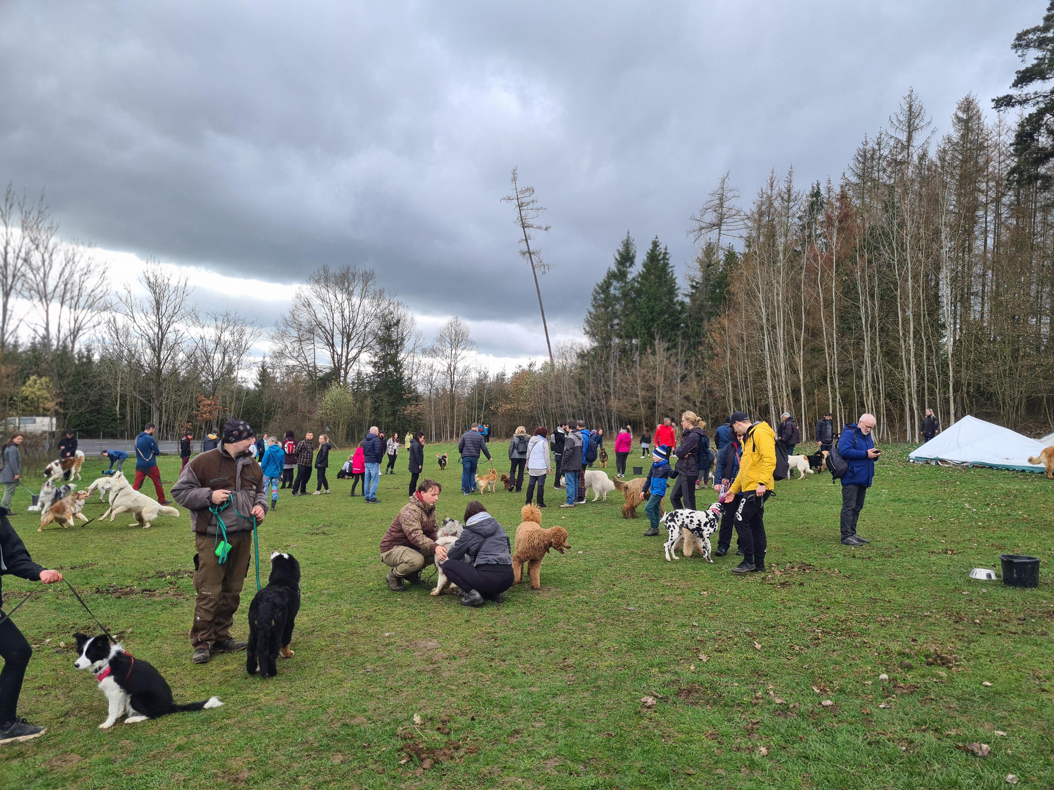 Mikroazyl Vlčáry z.s. foto 3