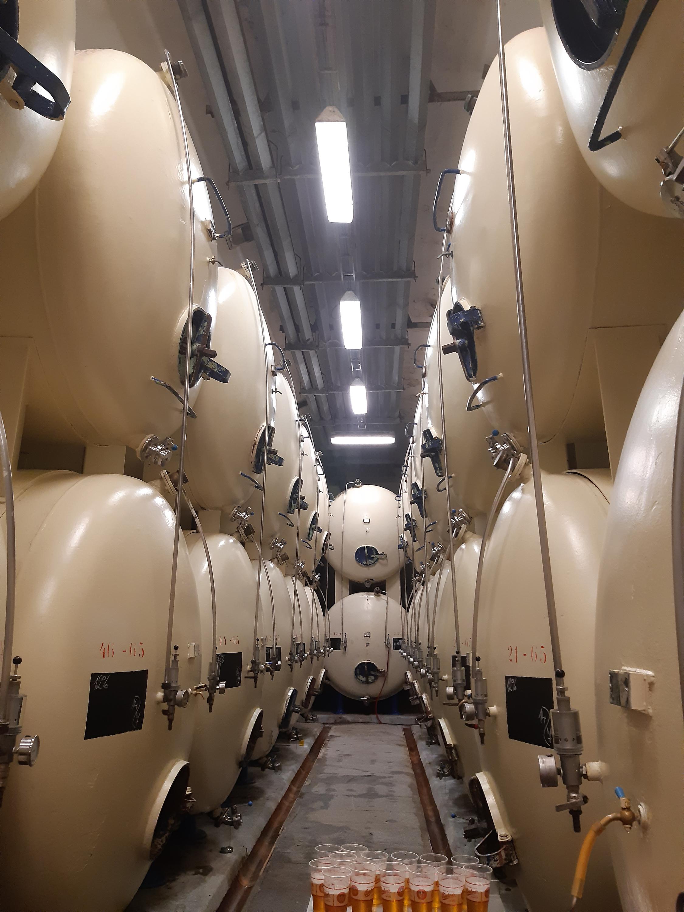 Návštěvnické centrum Budějovického Budvaru, n. p. foto 6