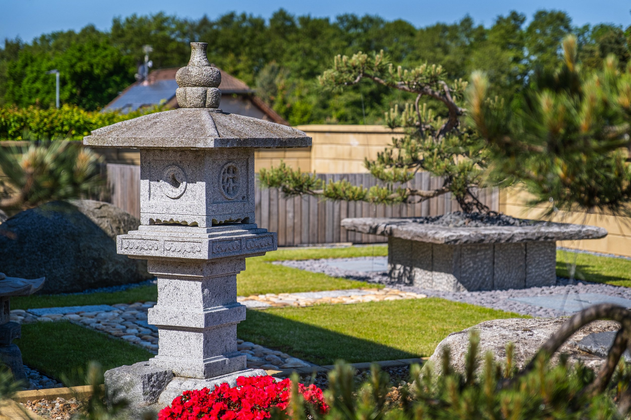 BIG BONSAI CENTRUM foto 3