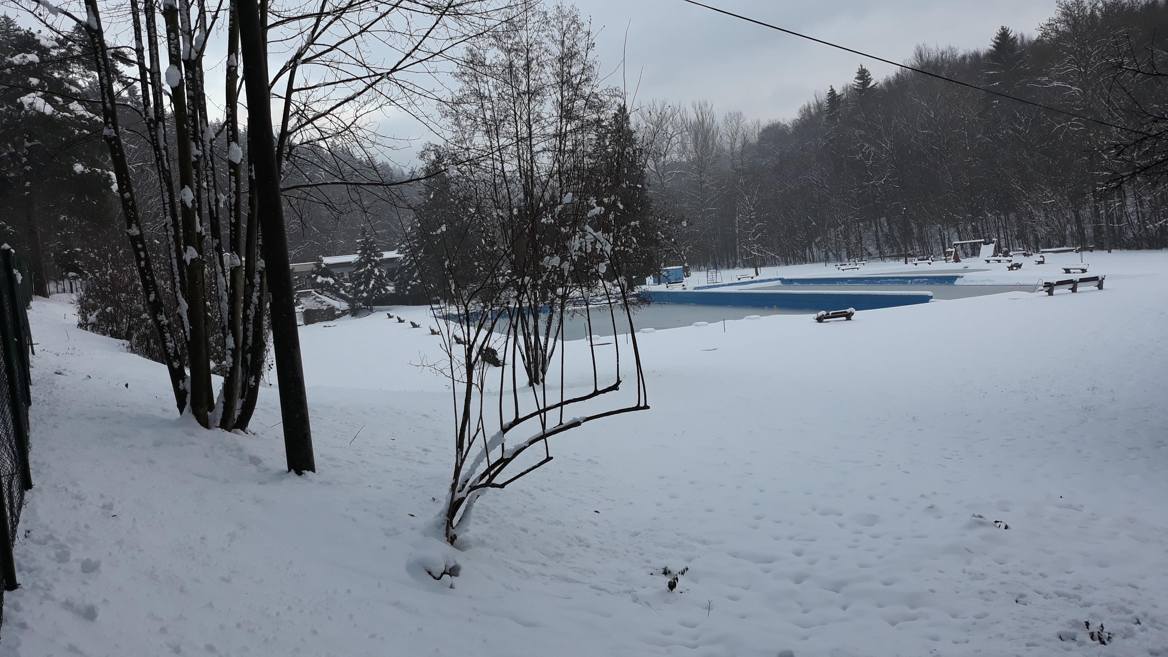 Přírodní koupaliště ve Včelném foto 5