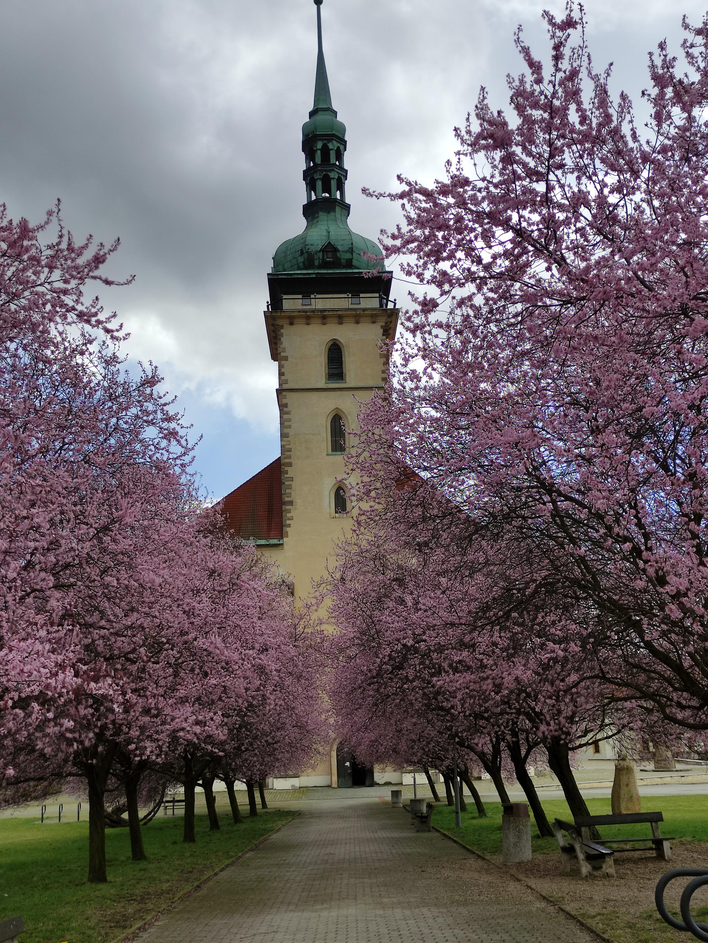 Kostel Nanebevzetí Panny Marie v Mostě foto 5