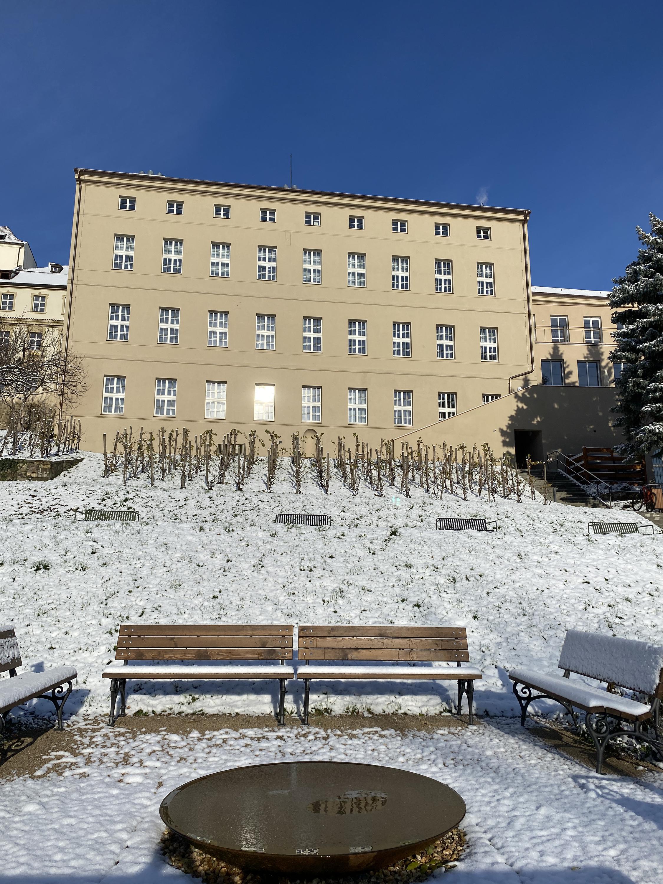 Park Lane International School foto 2