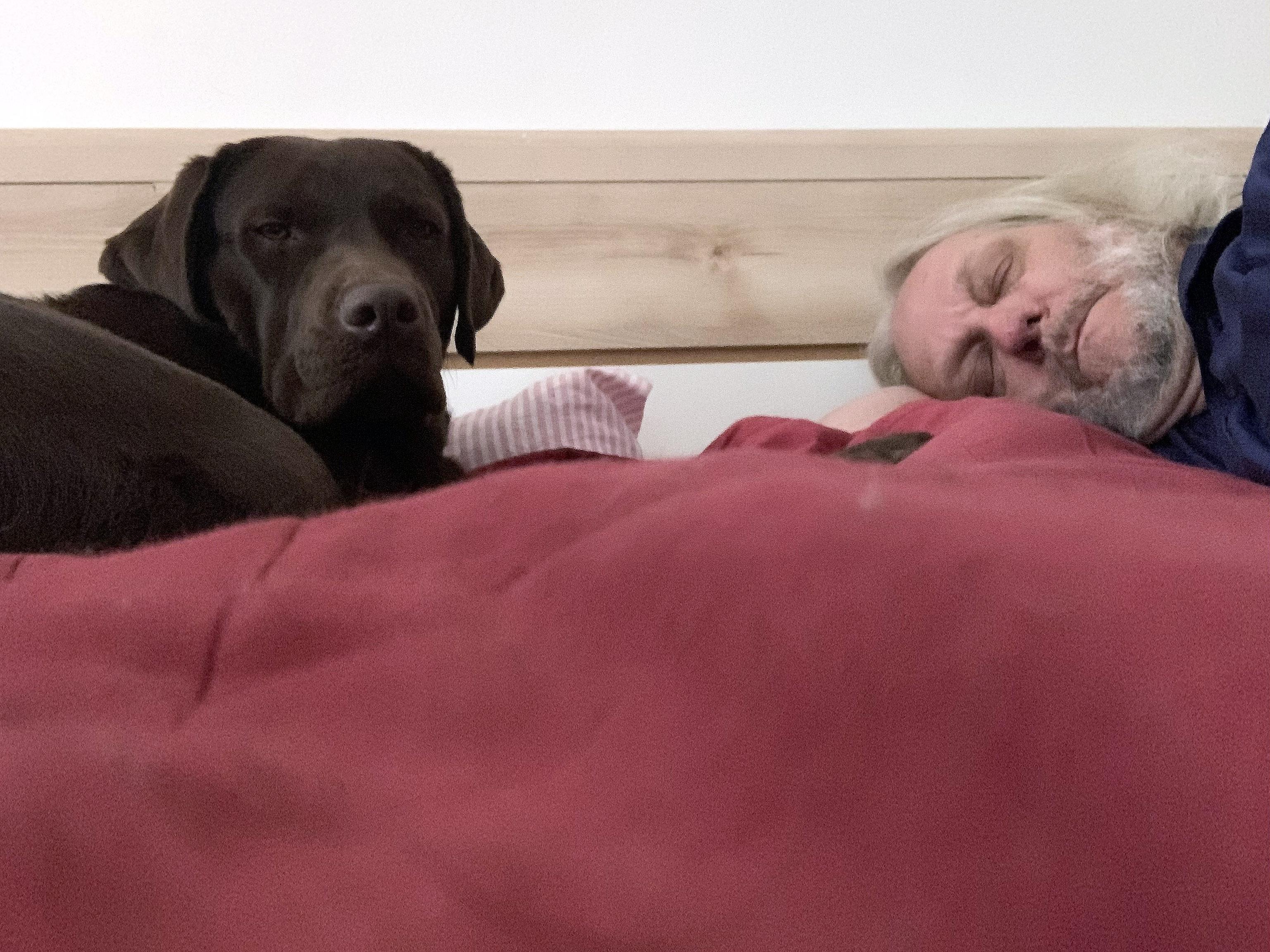 Labradosti - ak. mal. Pavel Beneš foto 5