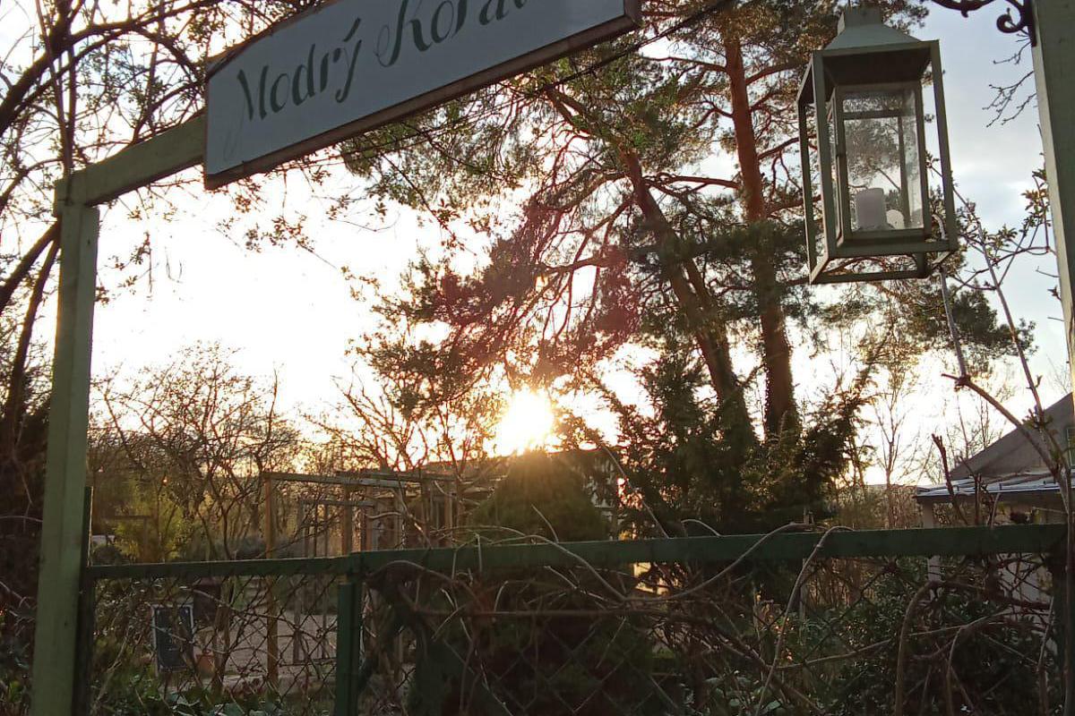 Kavárna Modrý Korálek