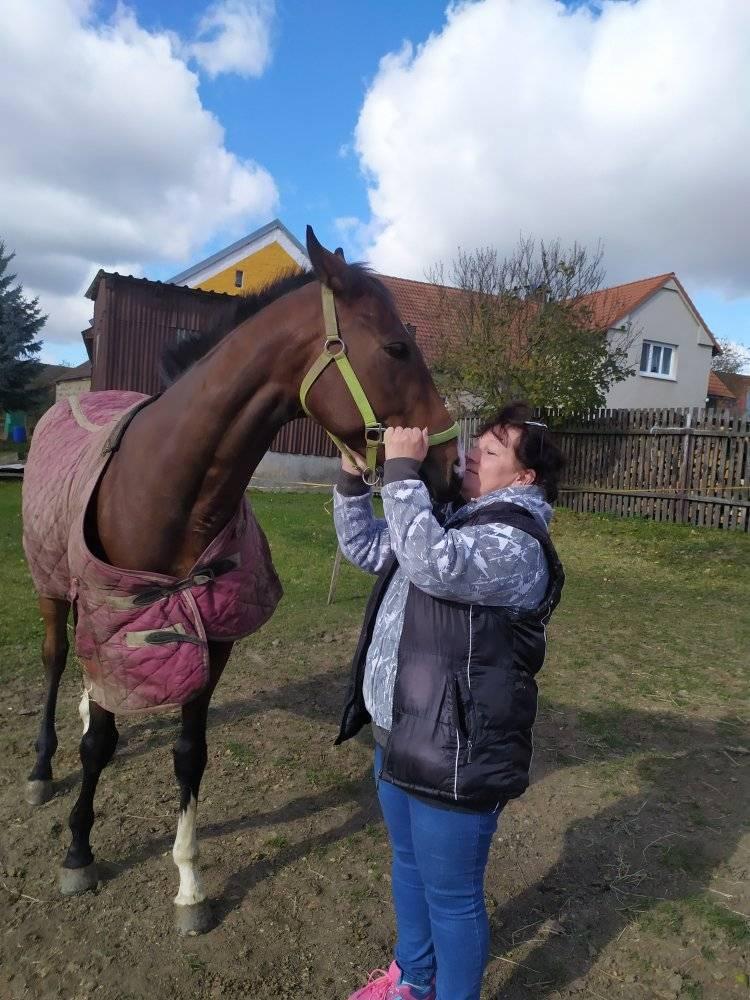 Chov a výcvik koní Petr Kub foto 6