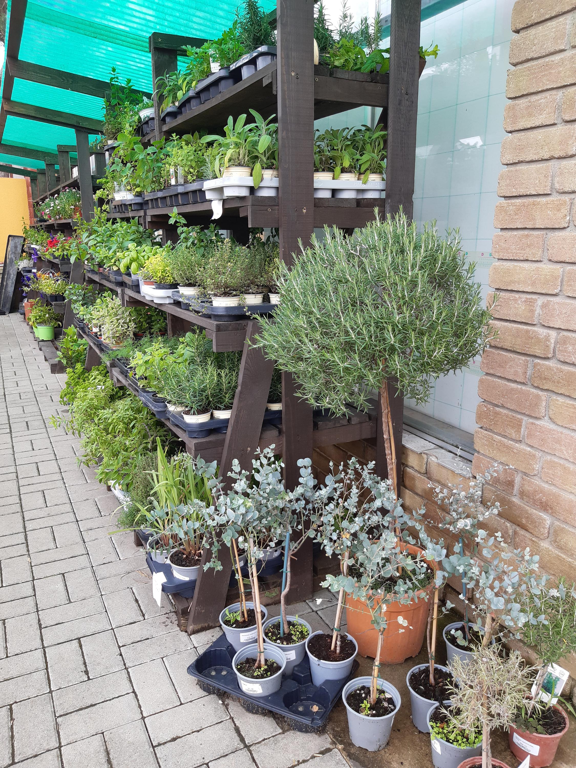 Natura centrum Petrovice s.r.o. foto 2