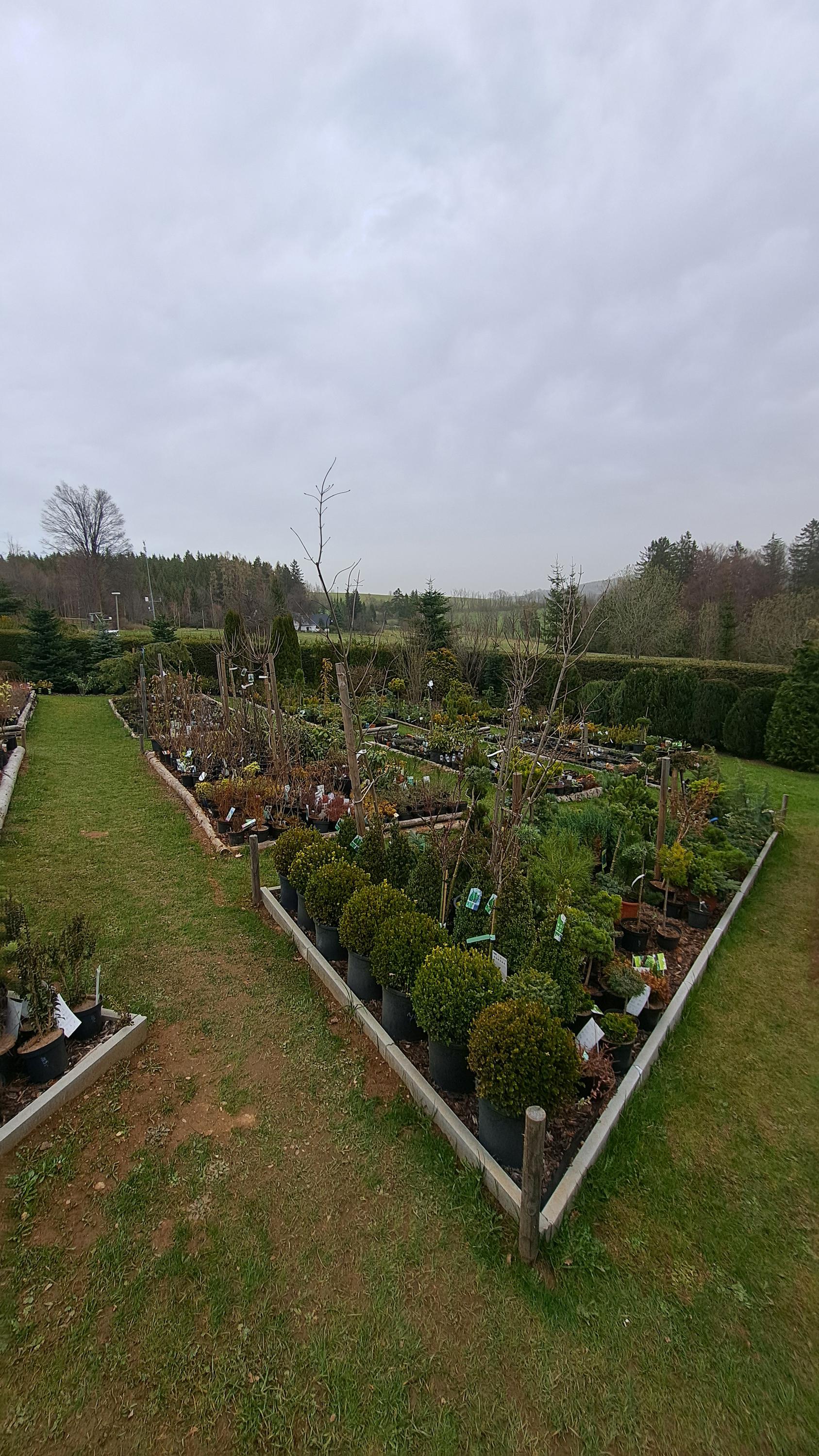 Zahradnictvi u Lizu foto 2