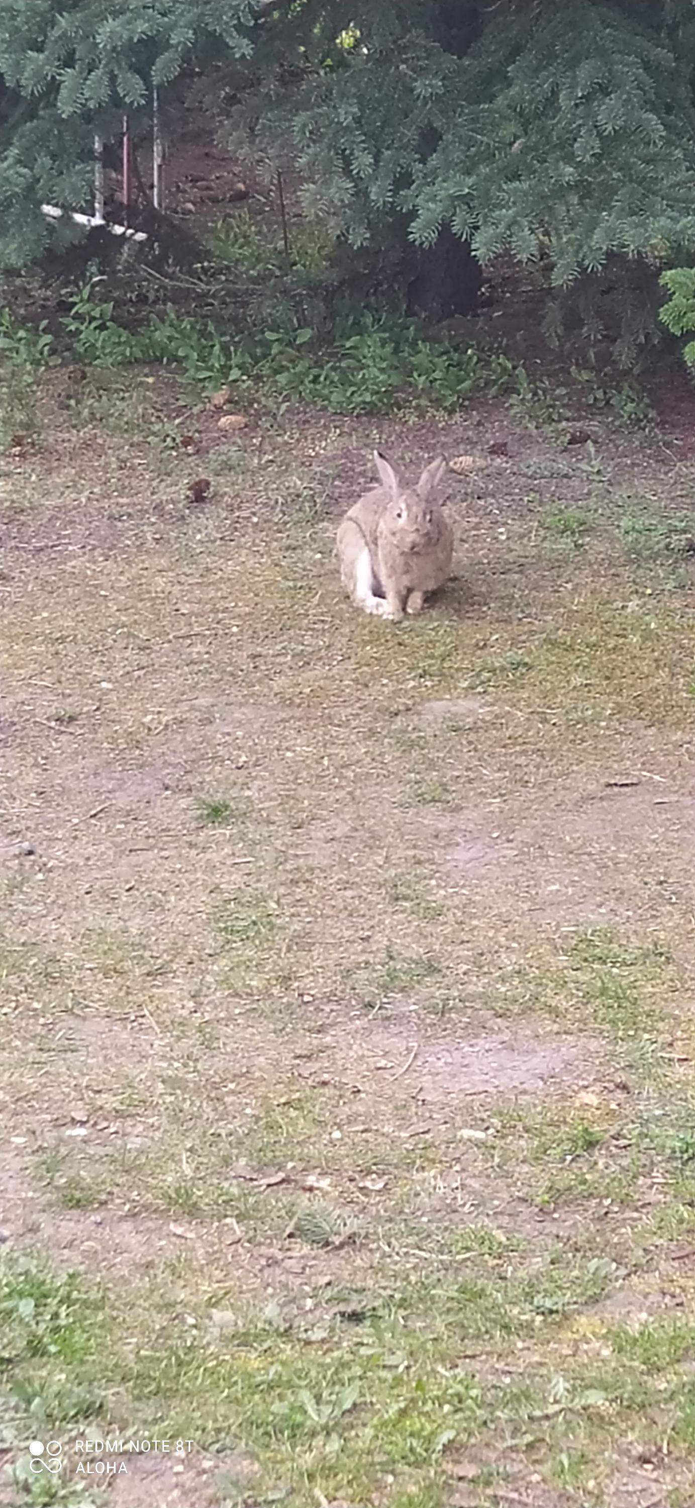 ZŠ Generála Janouška Praha 9 foto 5