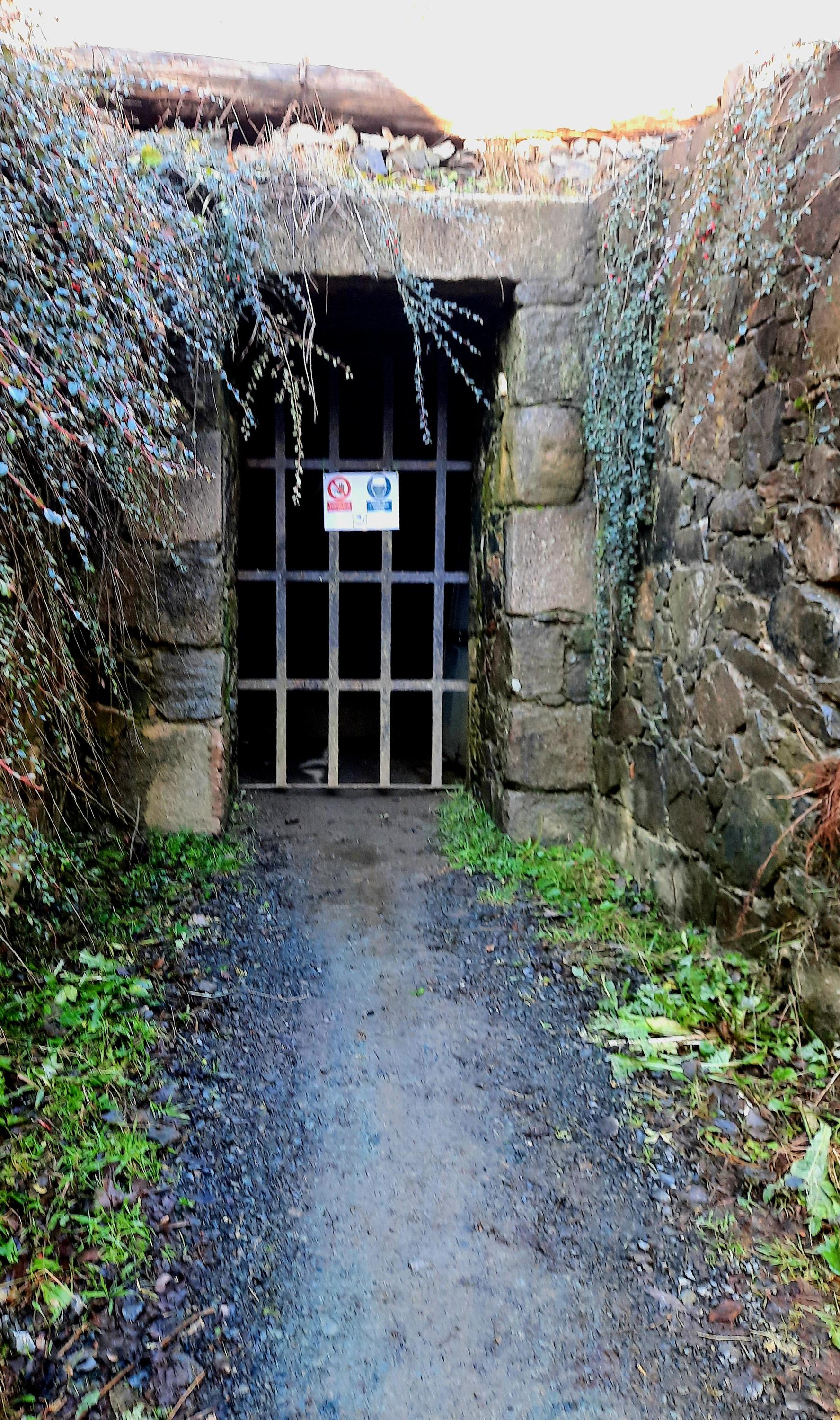 Důl Pepř - Štola Václav foto 5