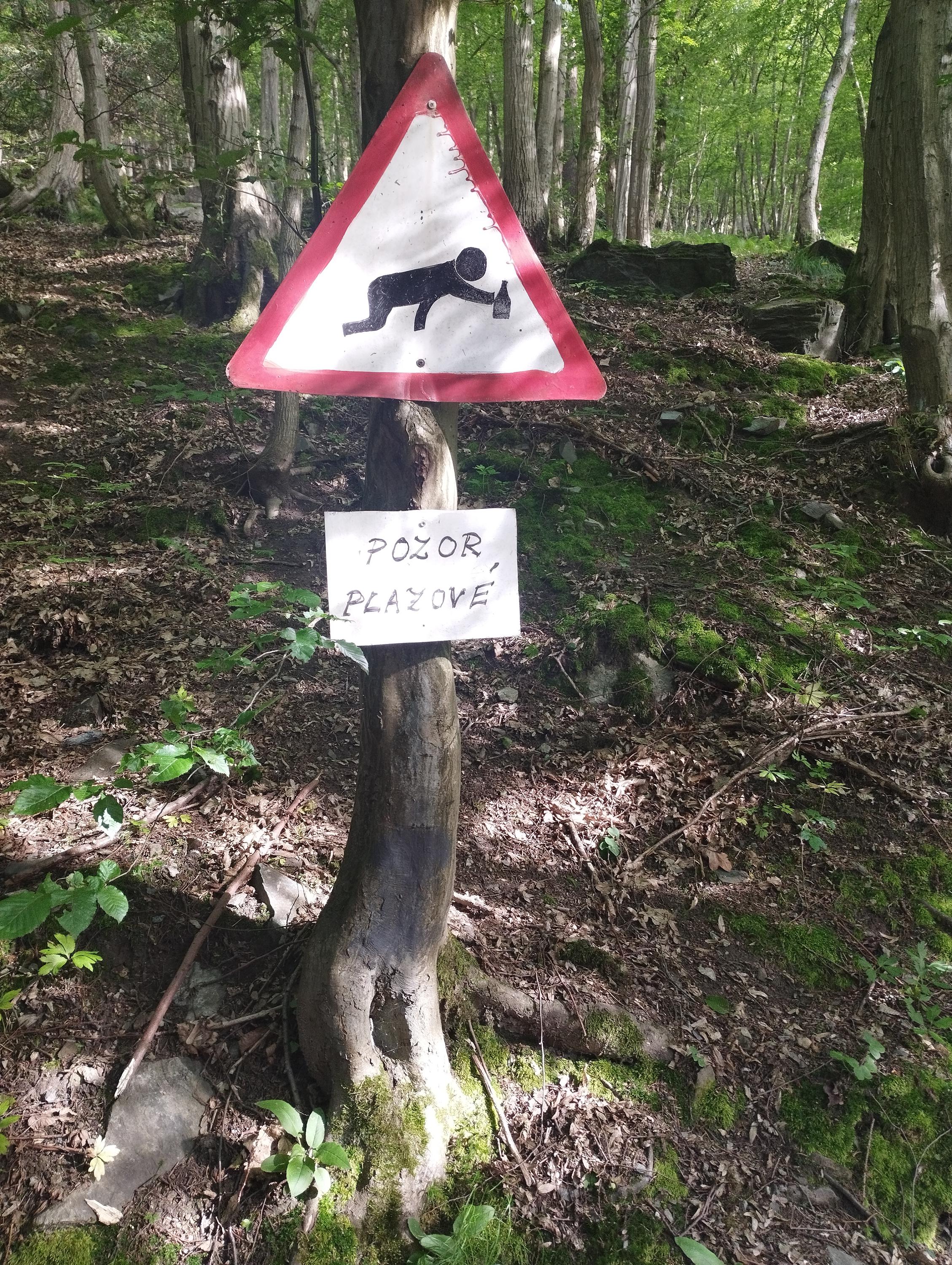 Klub Starcovy lesní restaurace foto 3