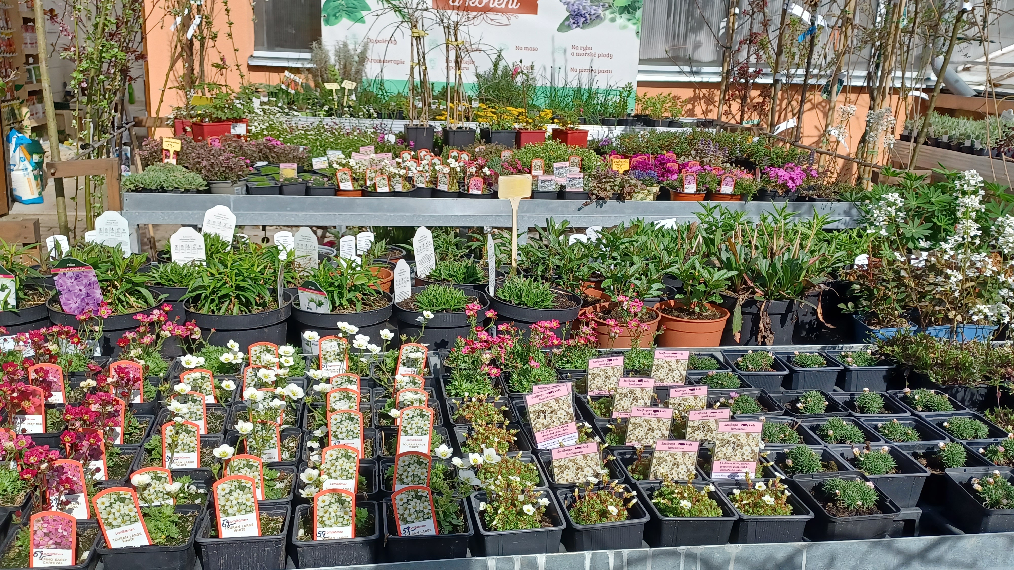 Ing. Jana Jánešová - Flora centrum foto 3