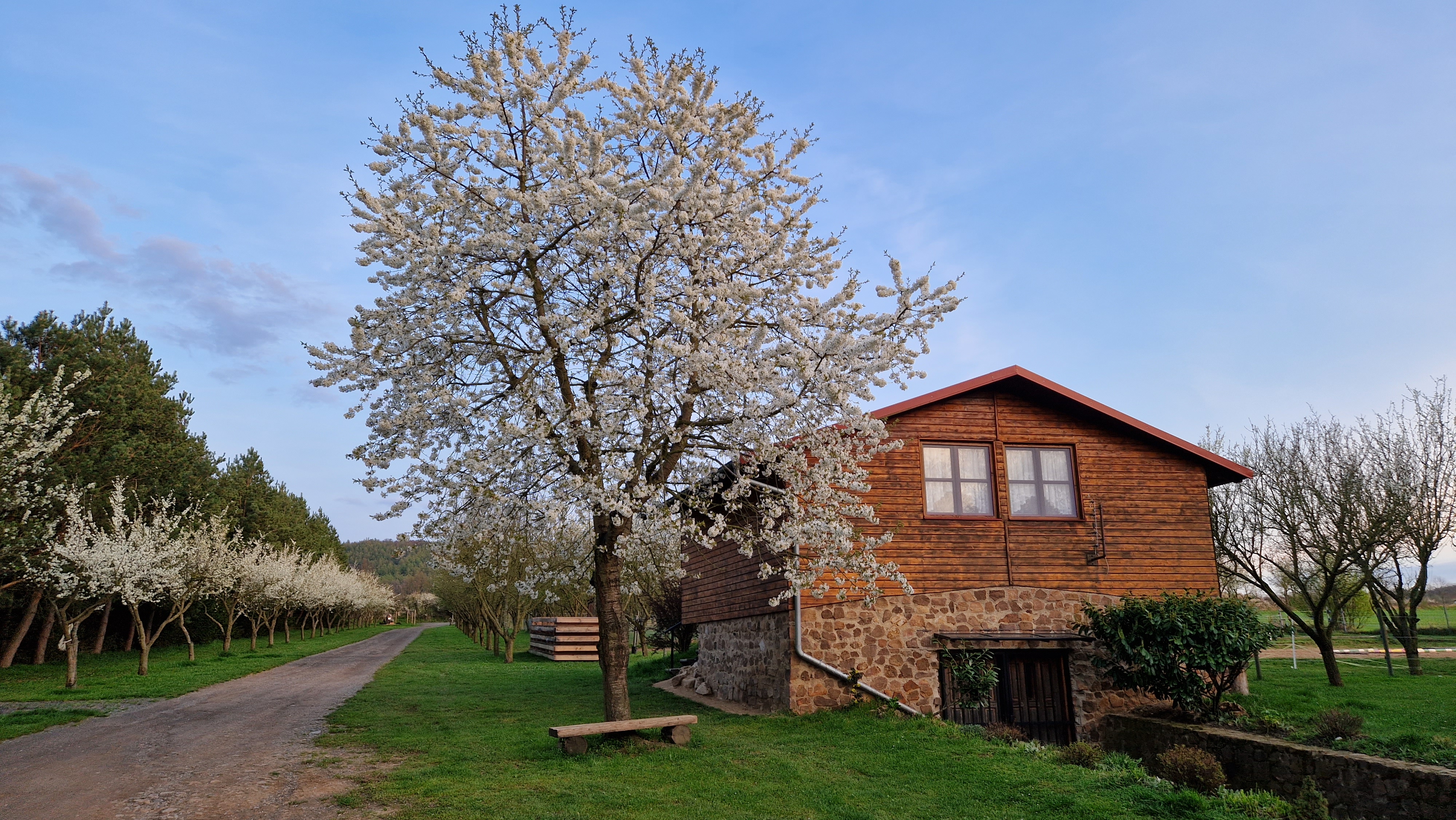 Rybaření Rpety-Hatě - ubytování foto 2