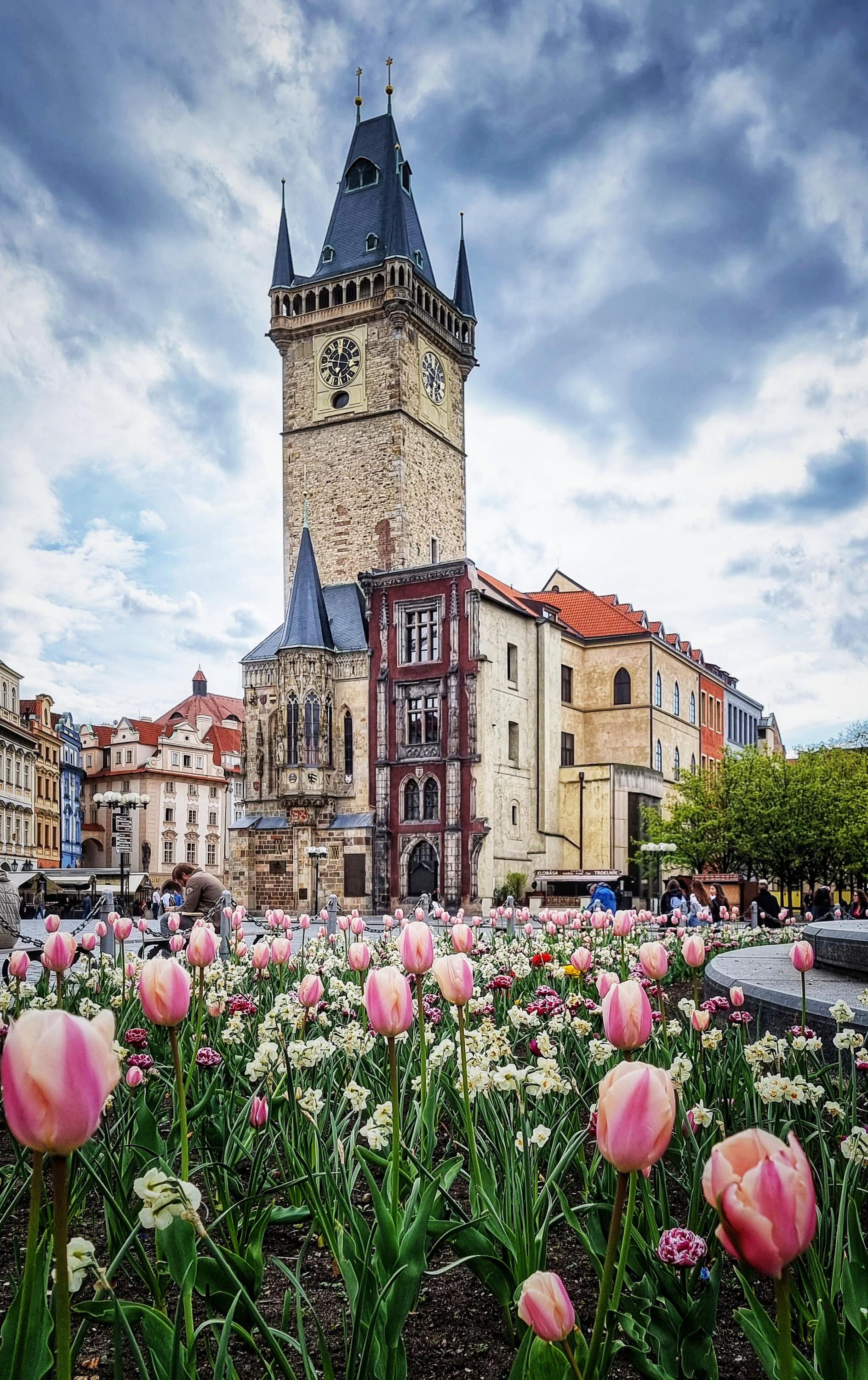 Staroměstská radnice s orlojem