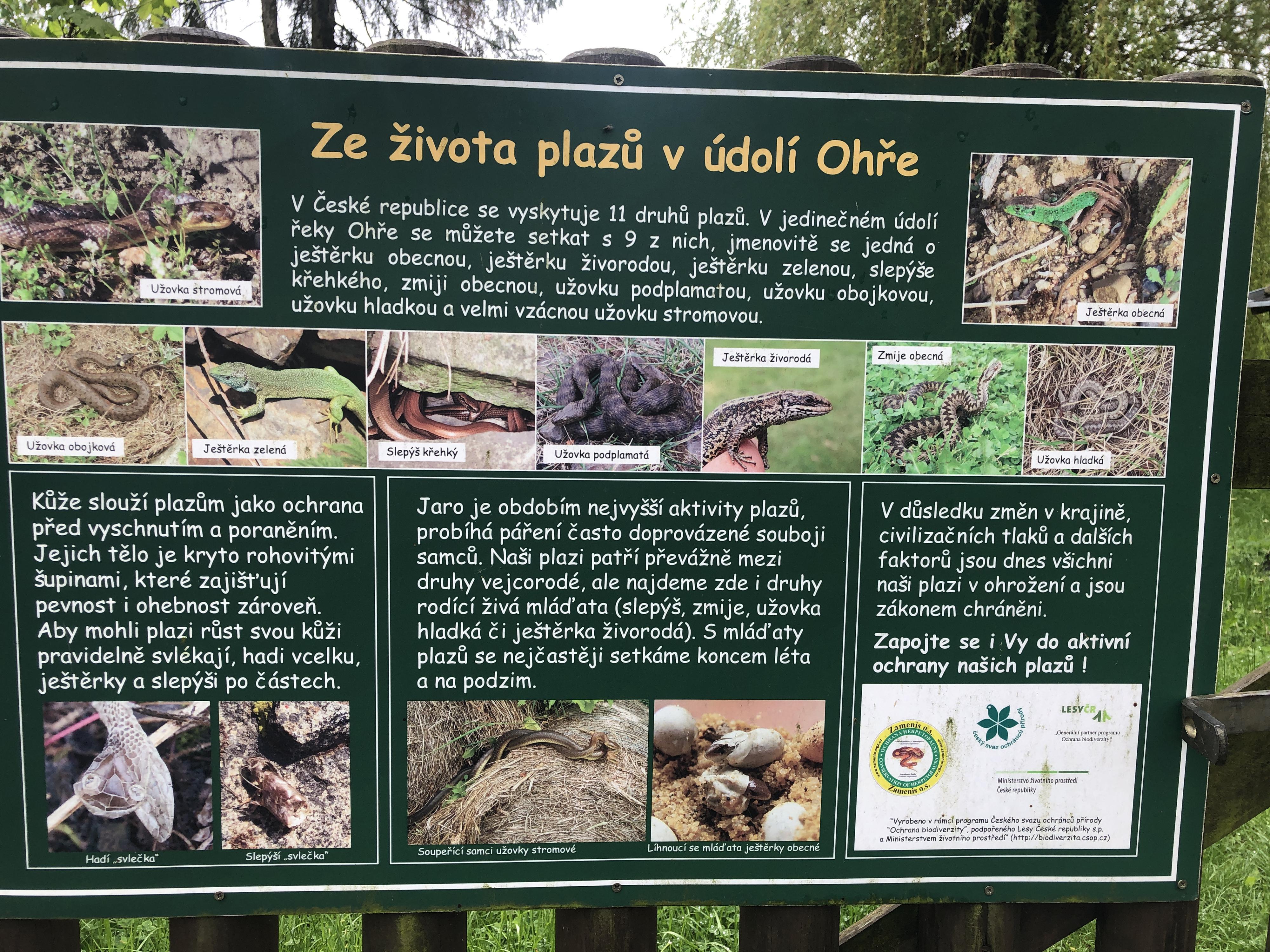 Spolek Zamenis foto 2