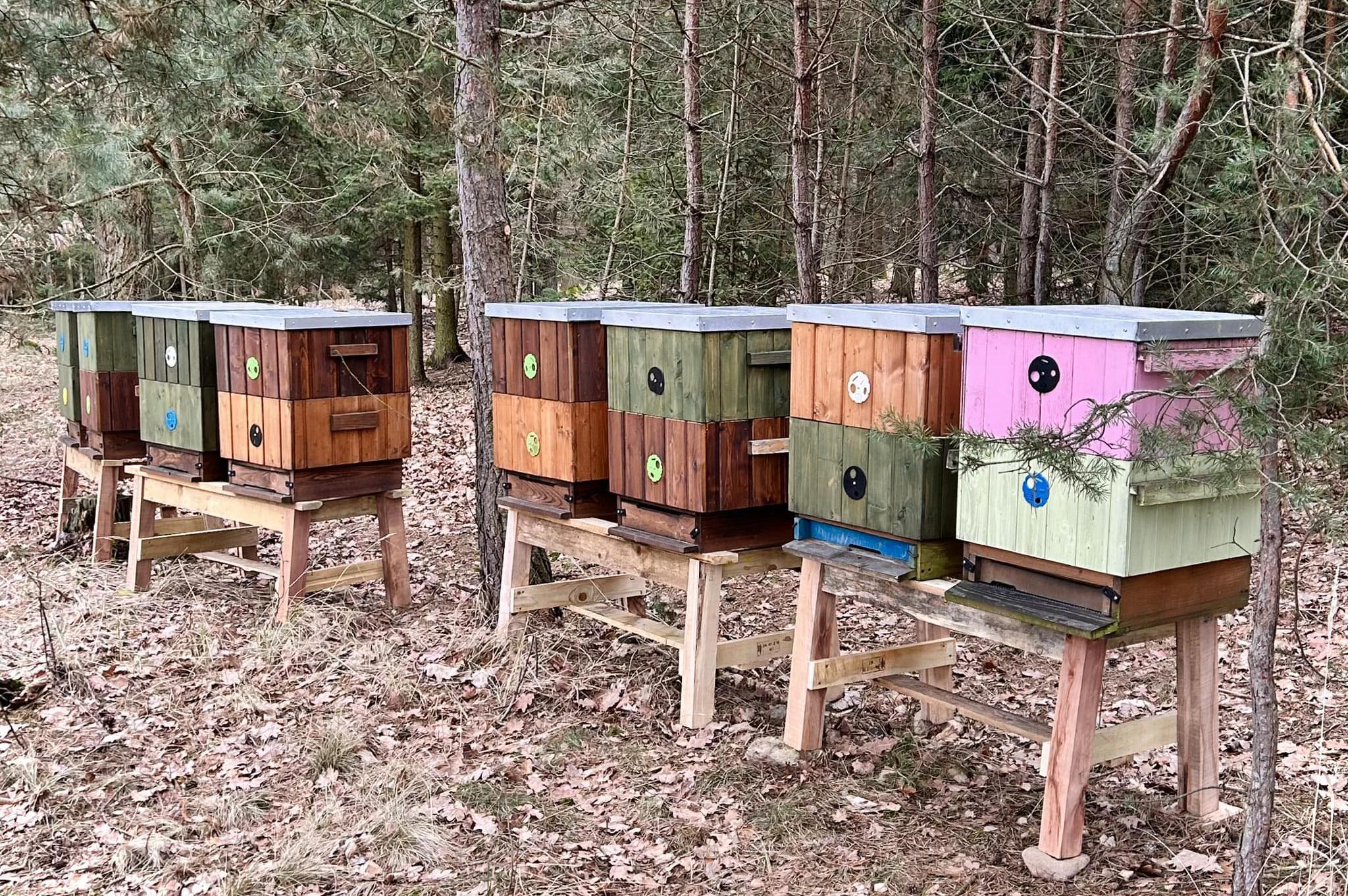 MED z Dobré Vody - Karel Zemek