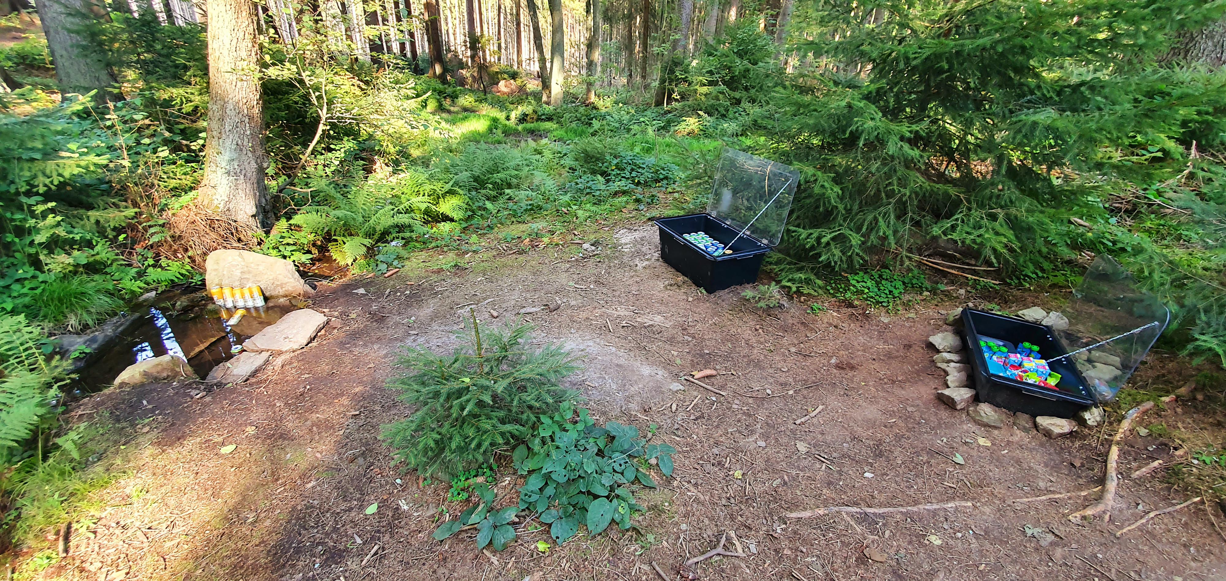 Lesní bar u víly Helenky