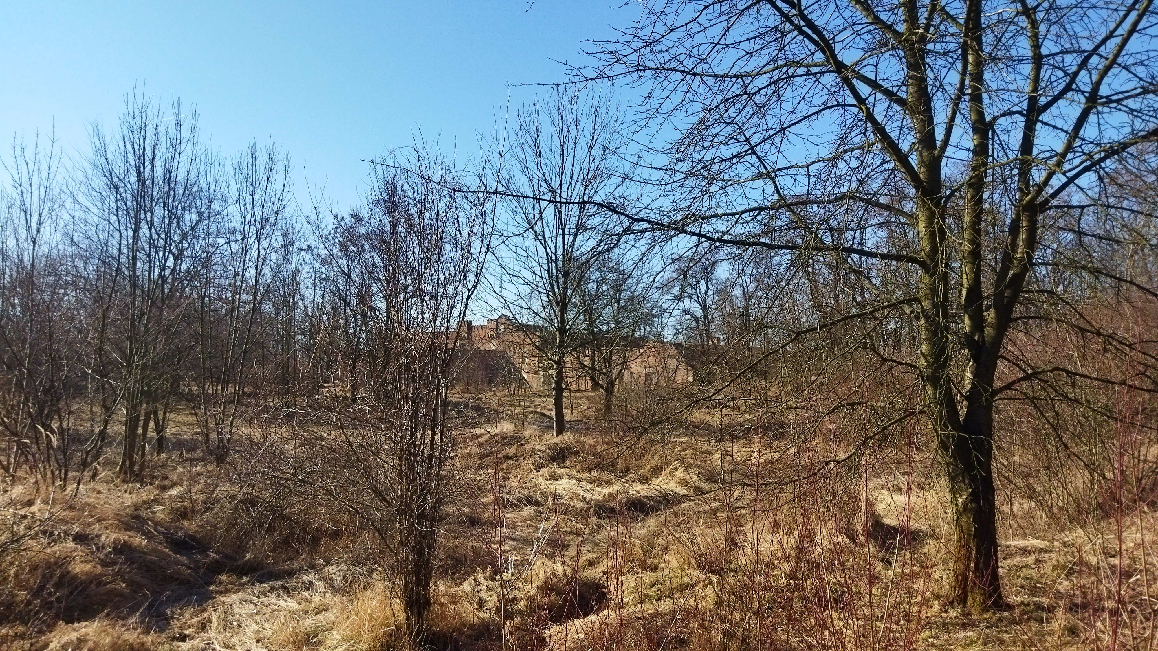 Muzeum Lagerfort XIII - Ziegelschlad foto 5