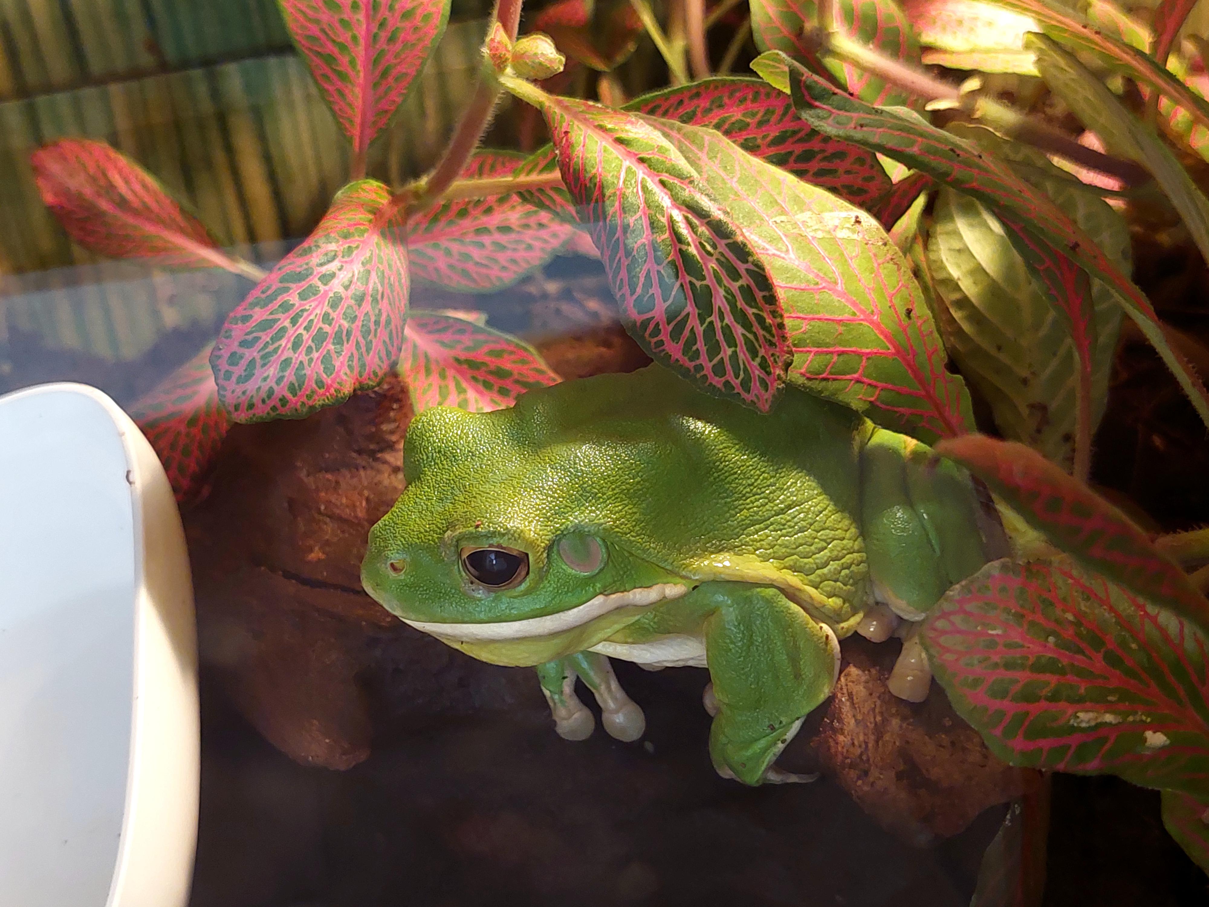 Mini Zoo Štramberk Aqua Terra foto 2