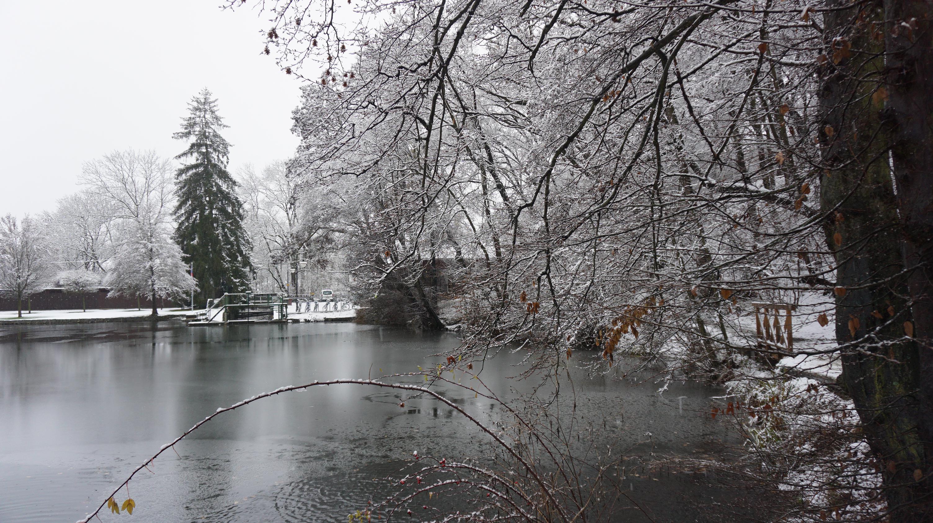 Koupaliště Jureček foto 2