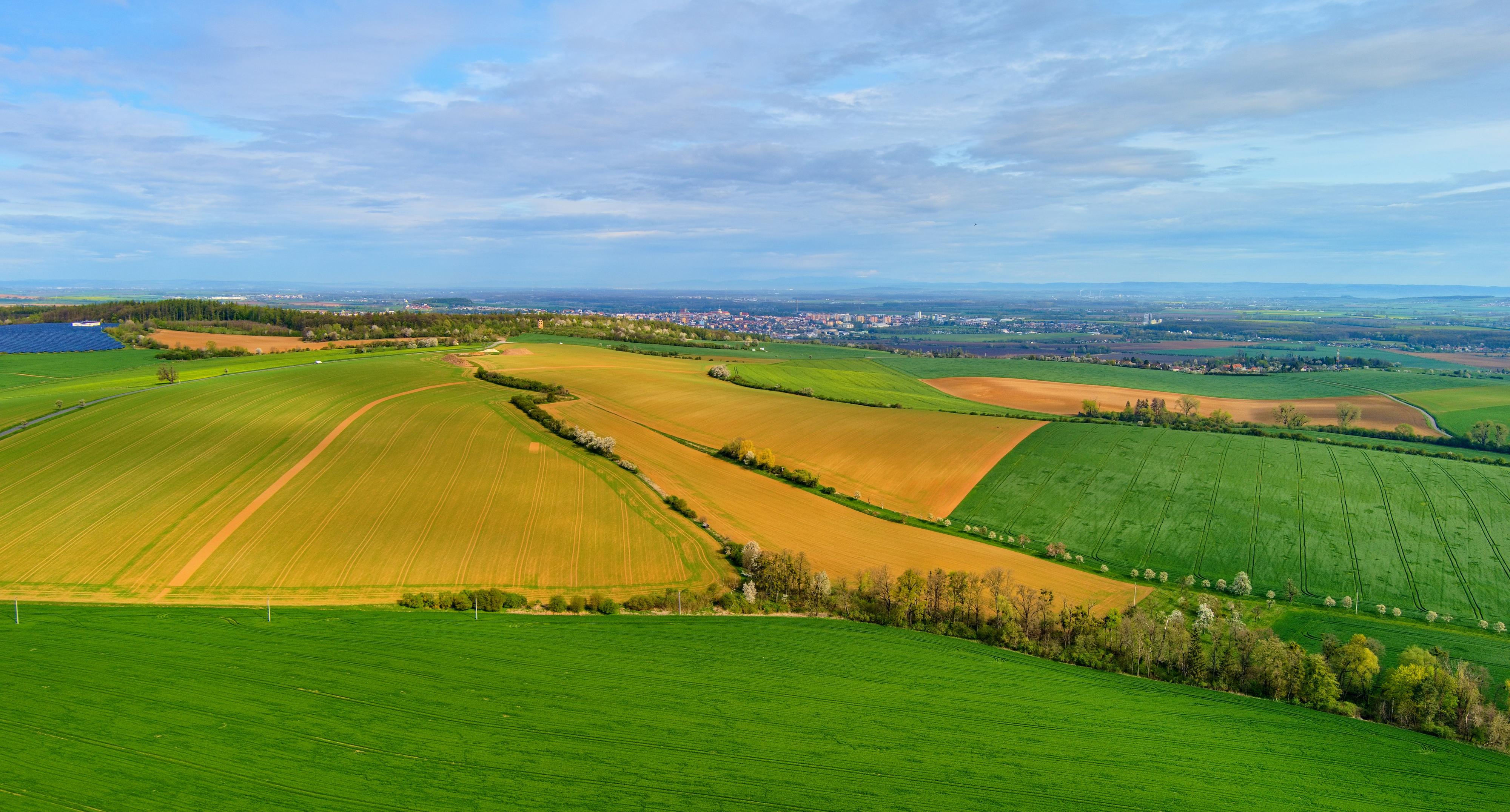 Bařice - Velké Těšany - obecní úřad foto 4