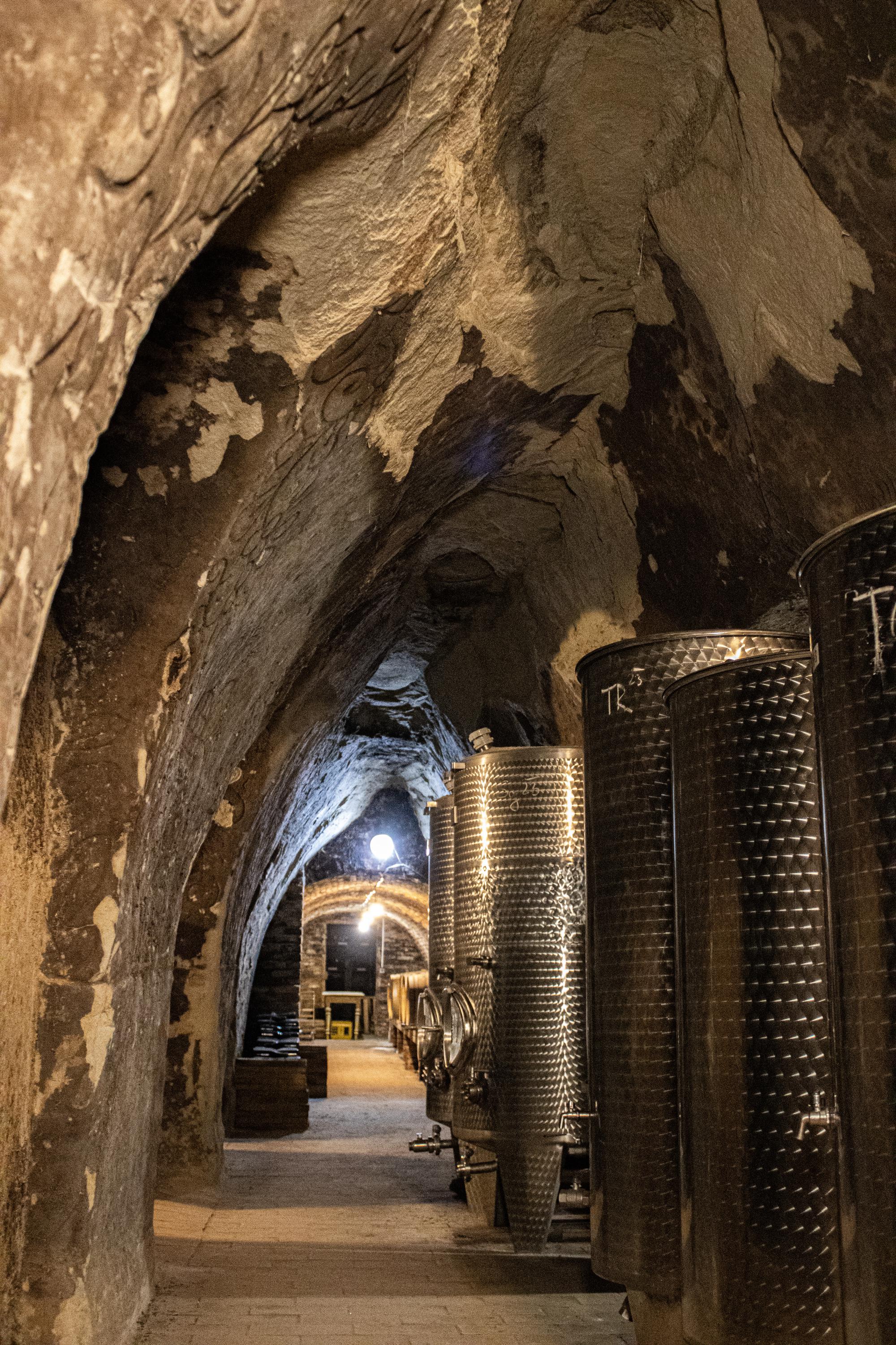 Smrčka vinařství foto 4