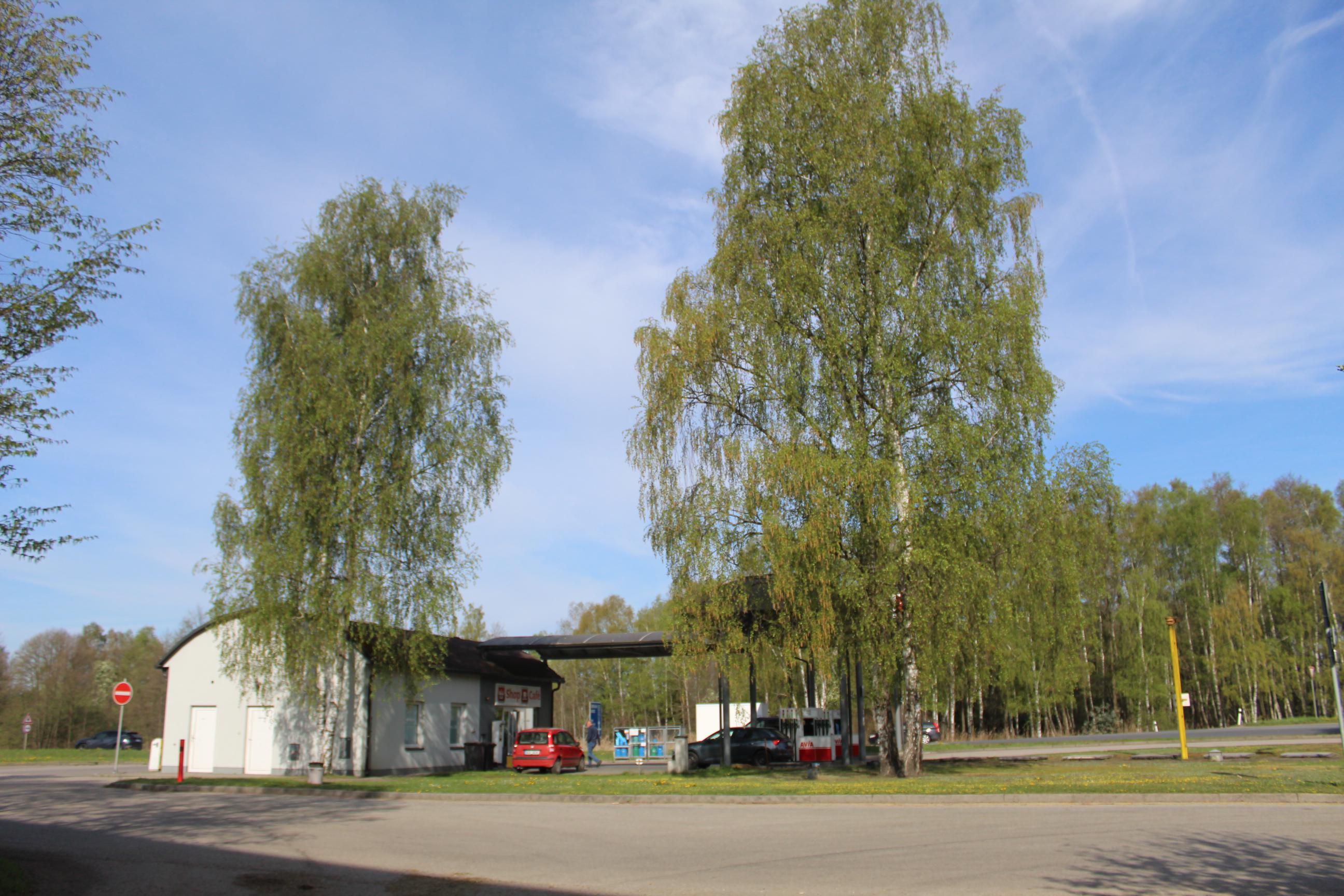 Čerpací stanice AVIA foto 2