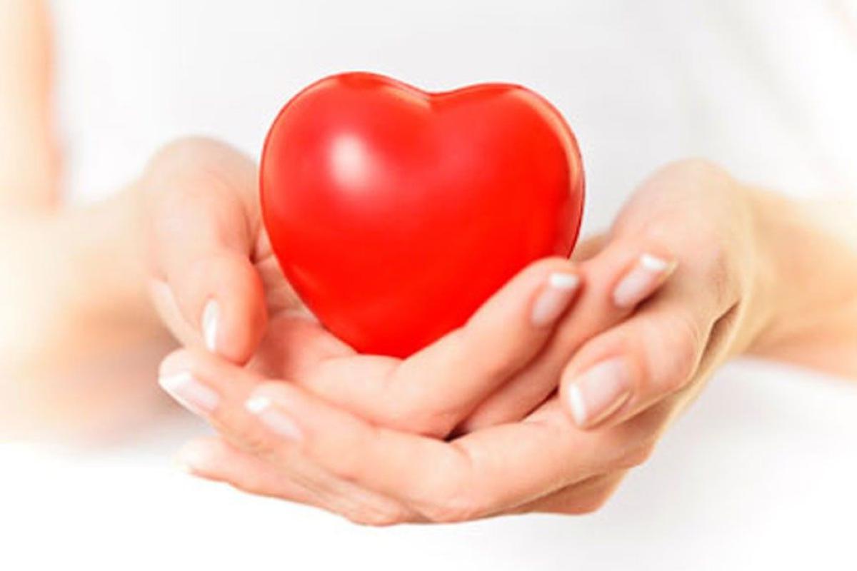 Biorezonance BICOM Toužim - ESENCE ZDRAVOSTI