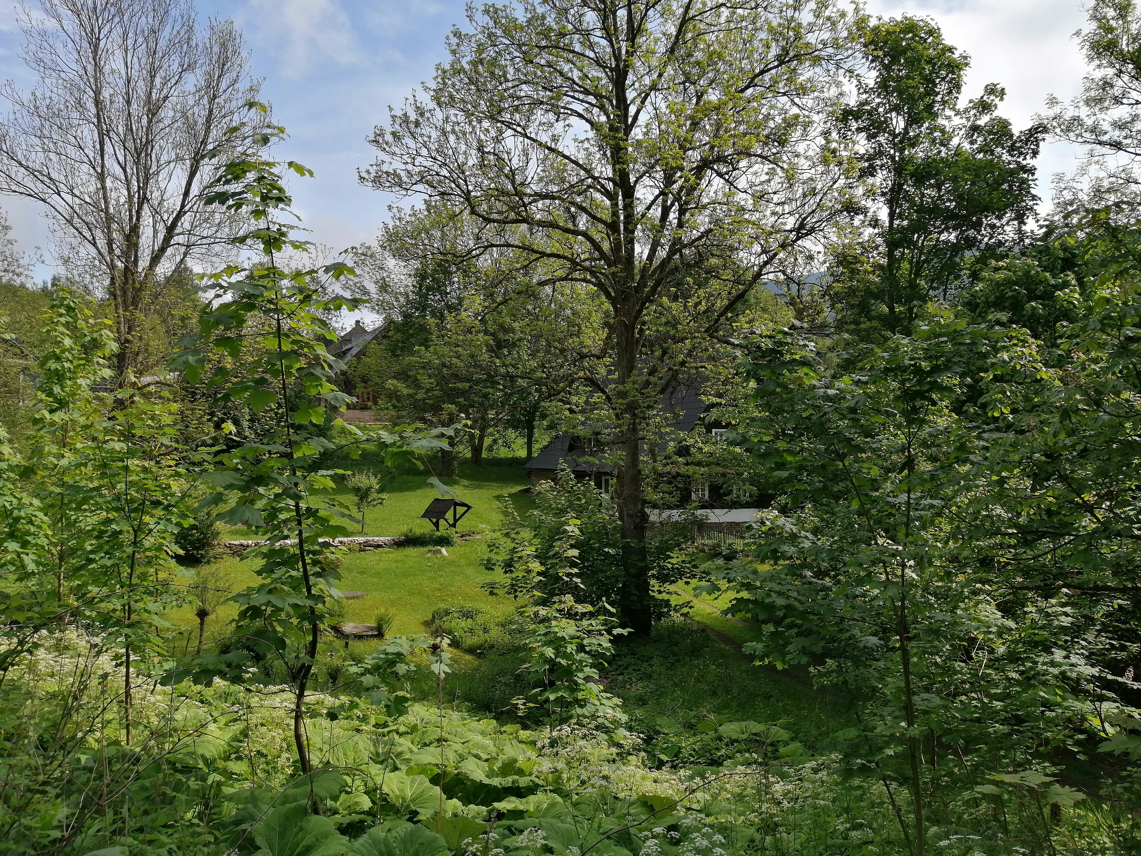 Braunerův Mlýn foto 1