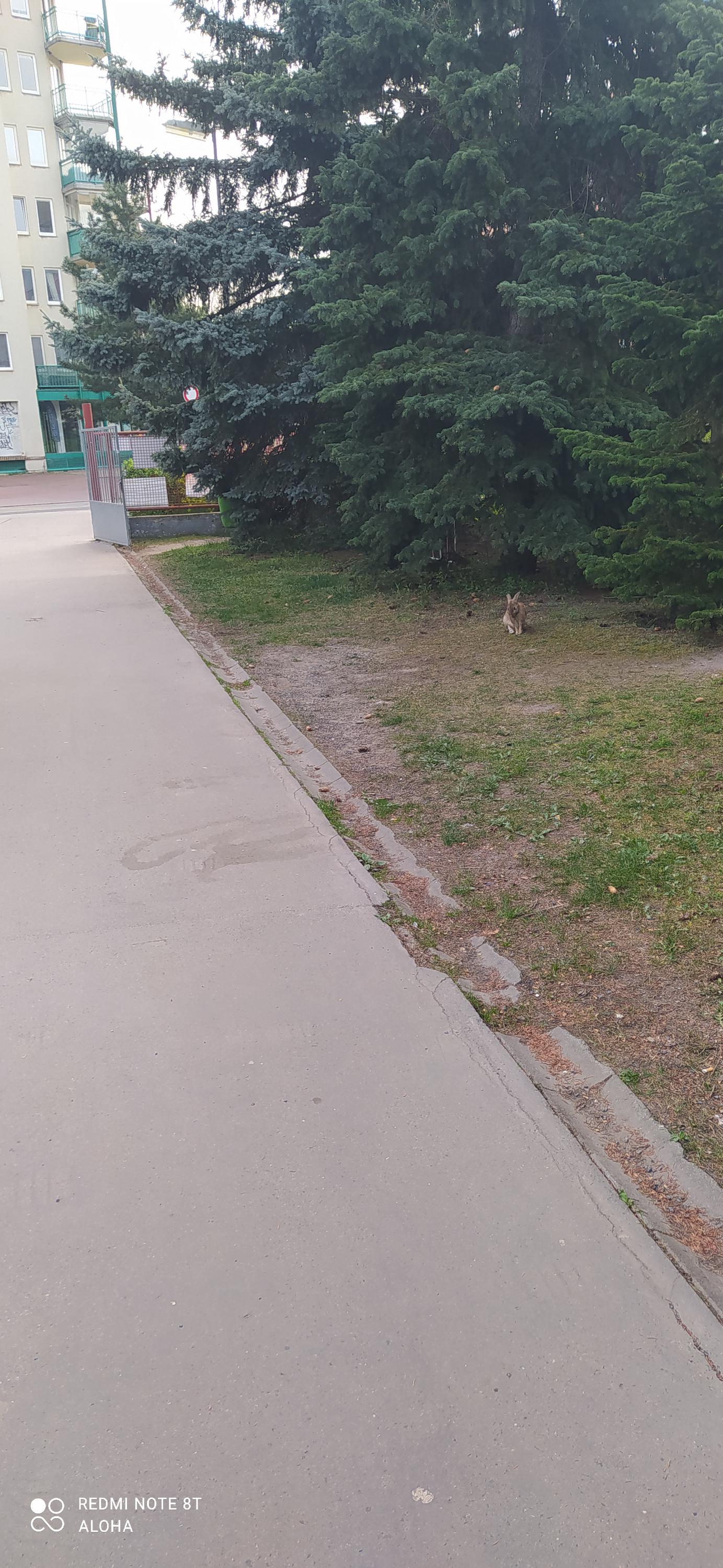 ZŠ Generála Janouška Praha 9 foto 6