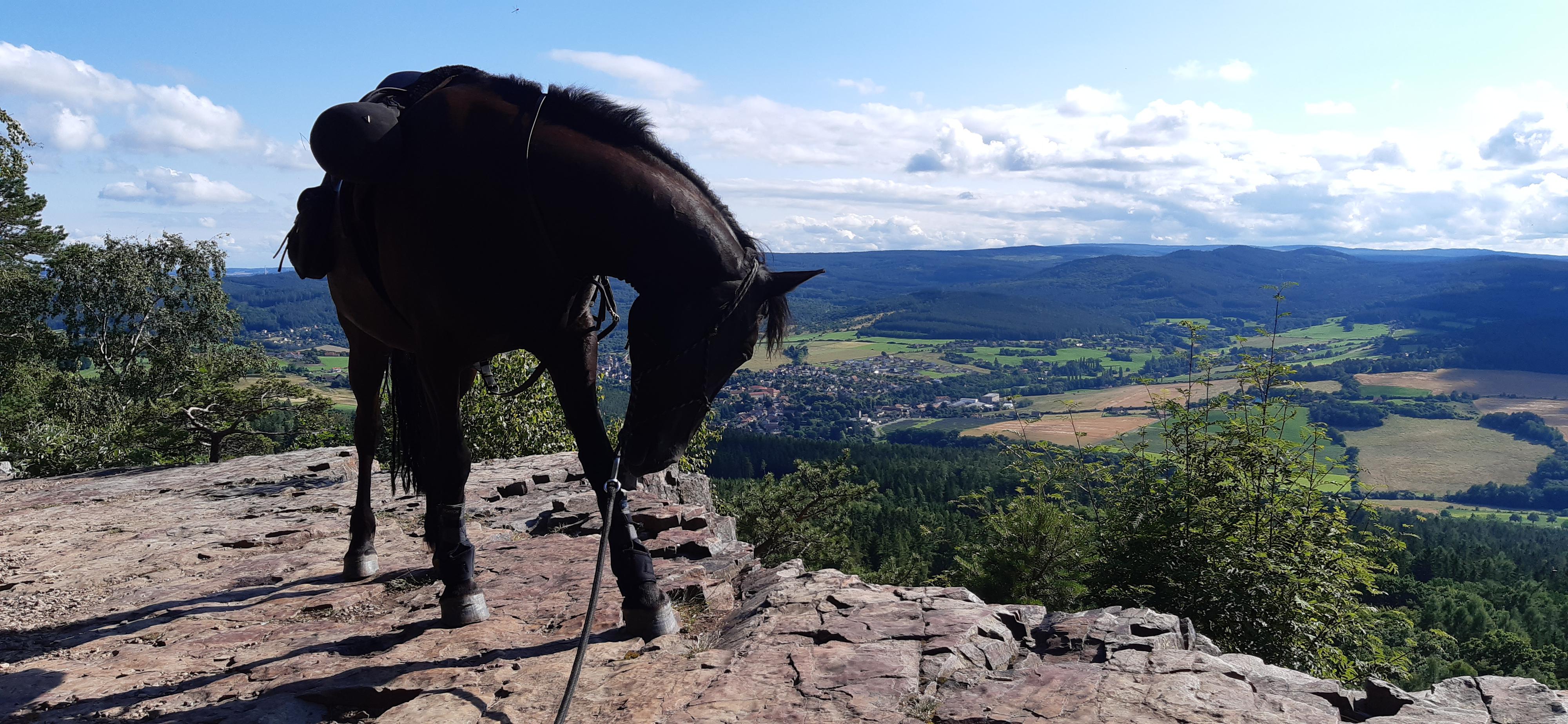 Rybaření Rpety-Hatě - ubytování foto 4
