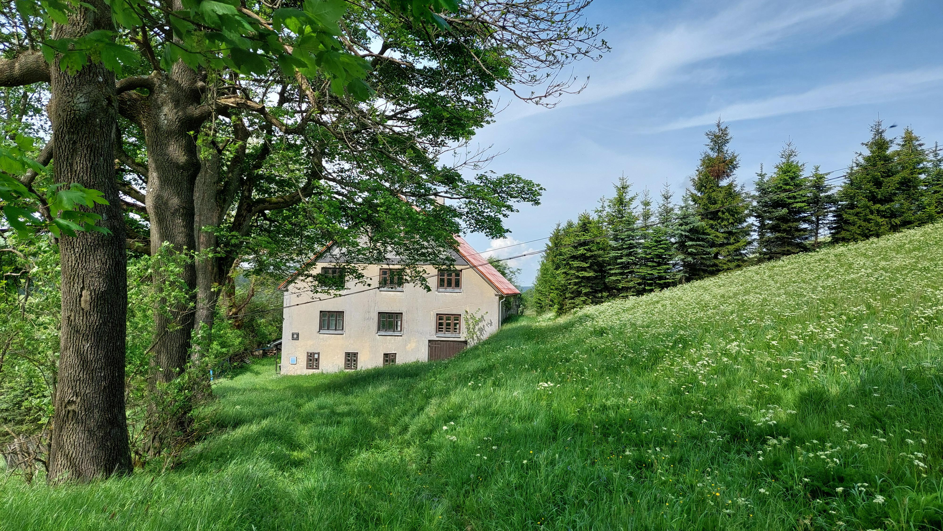 Tělocvičná jednota Sokol Louny foto 4