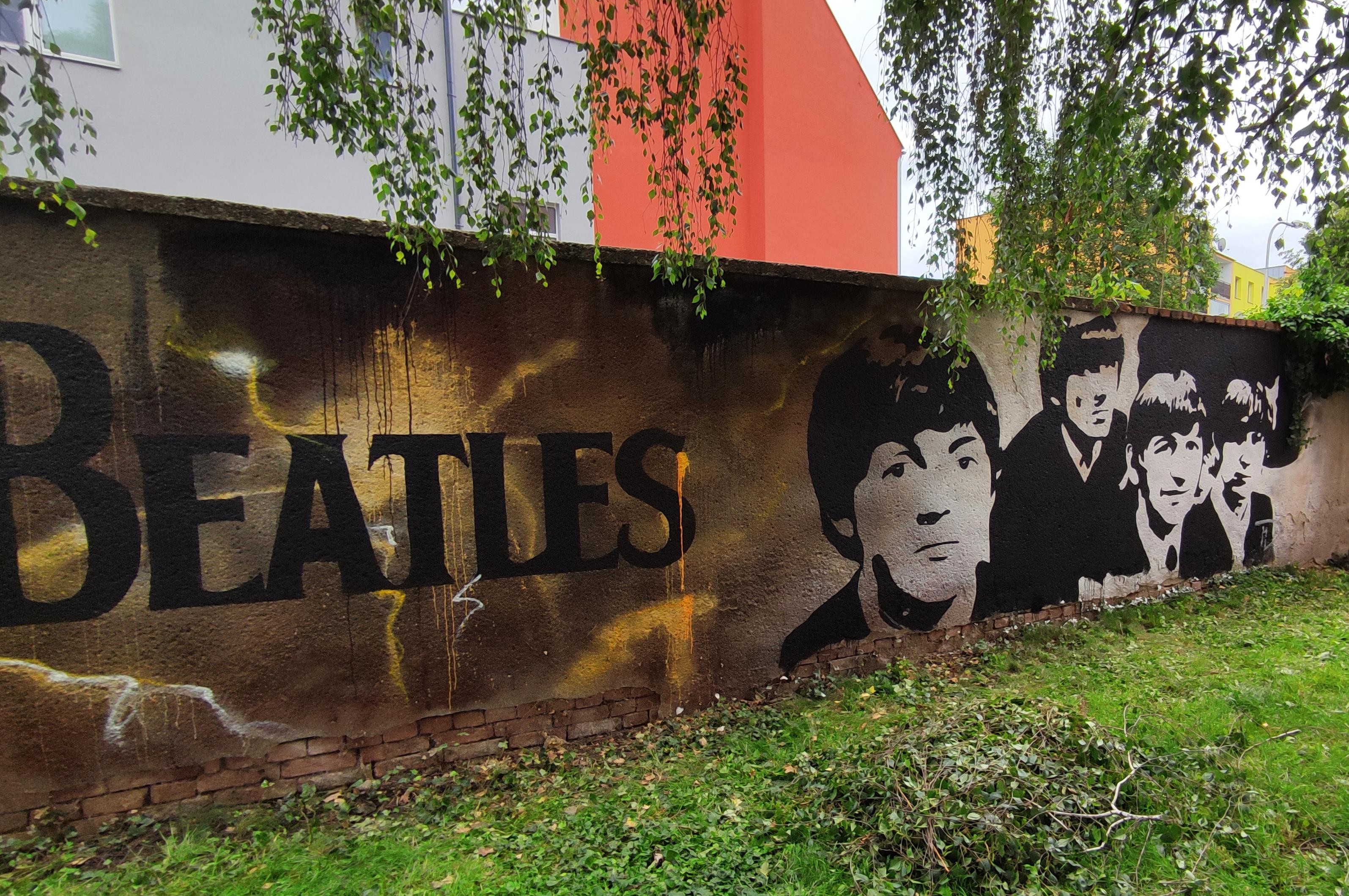 Michal Dvořák - Ruční malba mikaloou