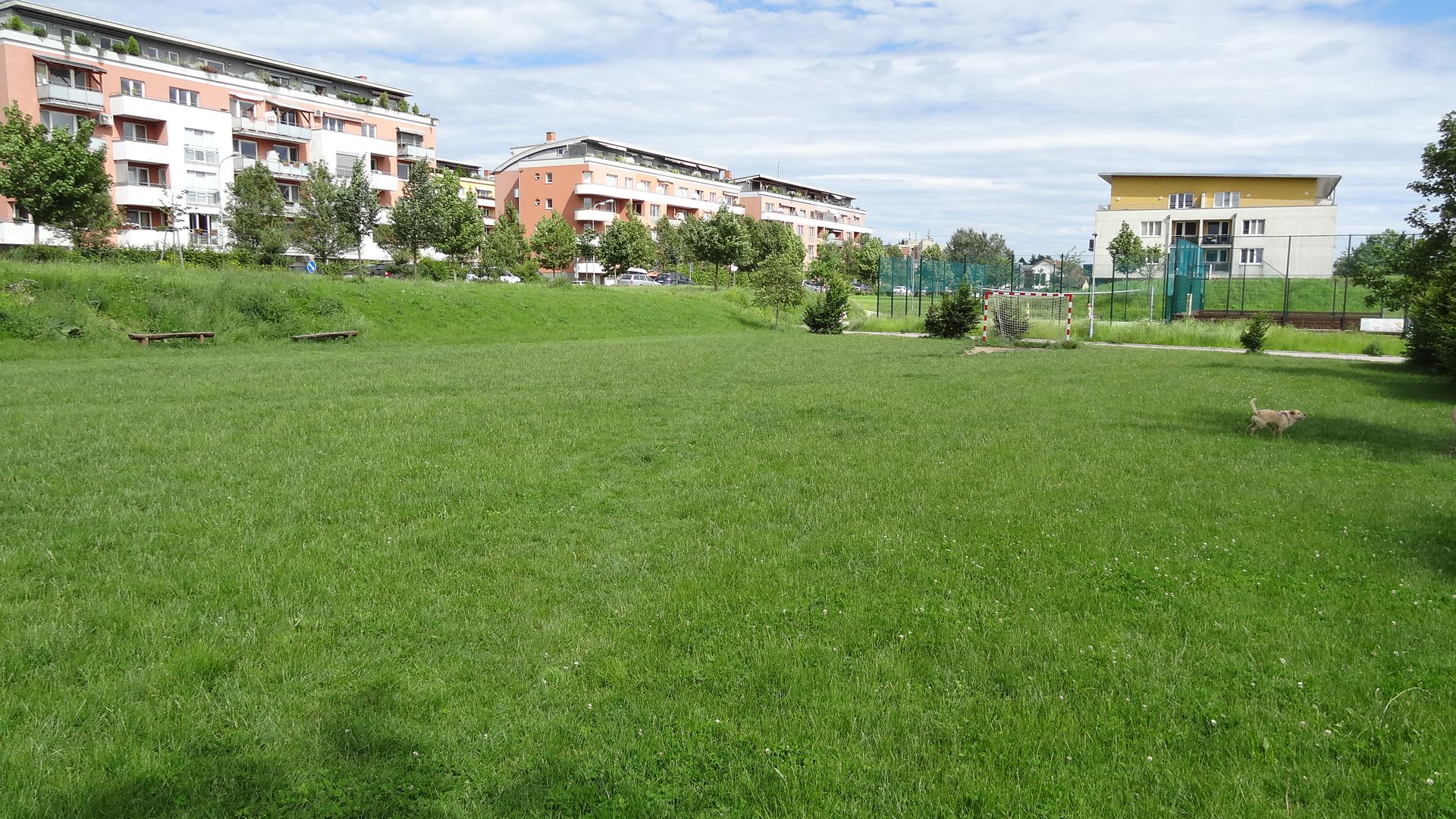 Fotbalové hřiště V Újezdech foto 3