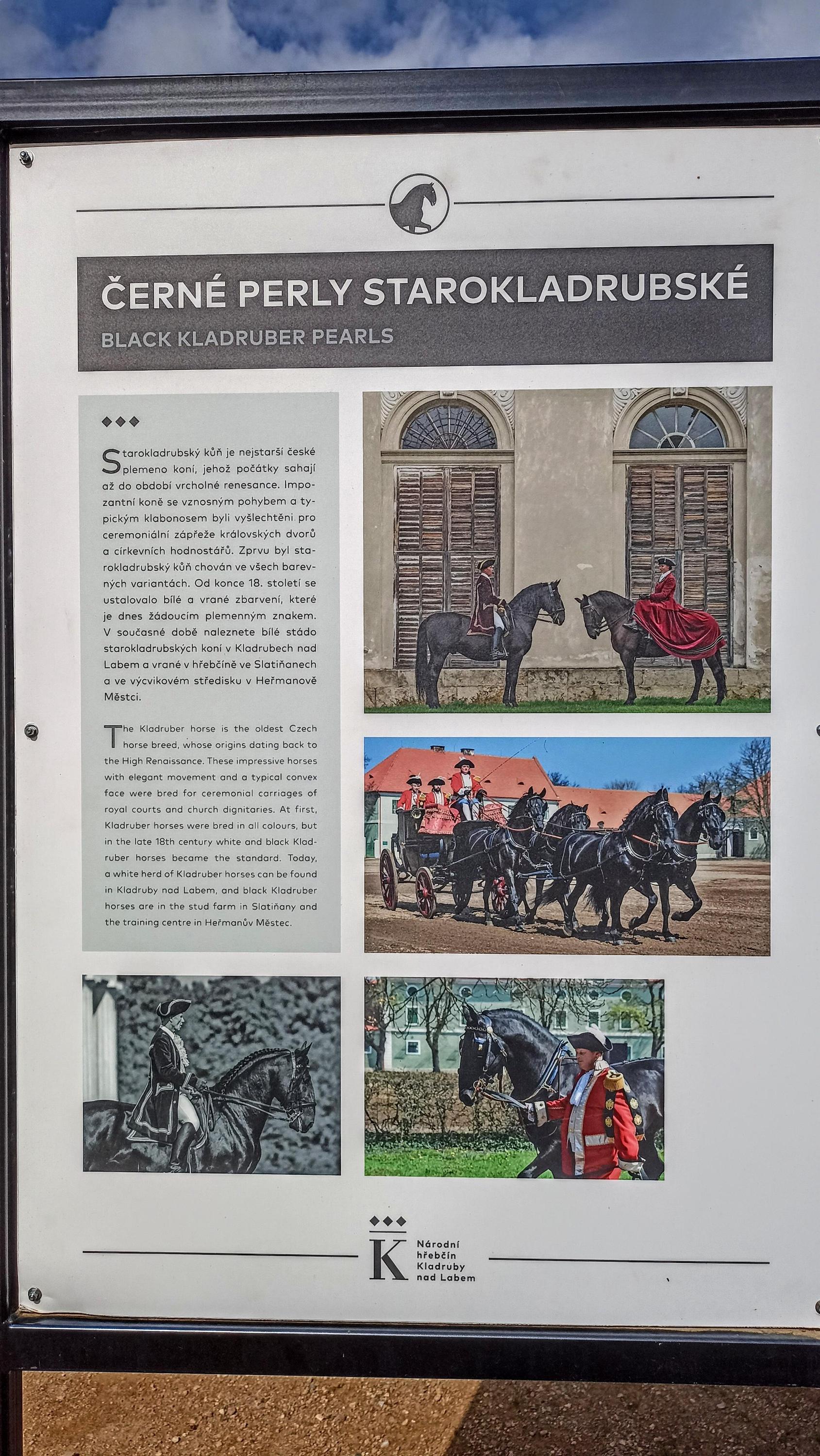 Hippologické muzeum foto 5