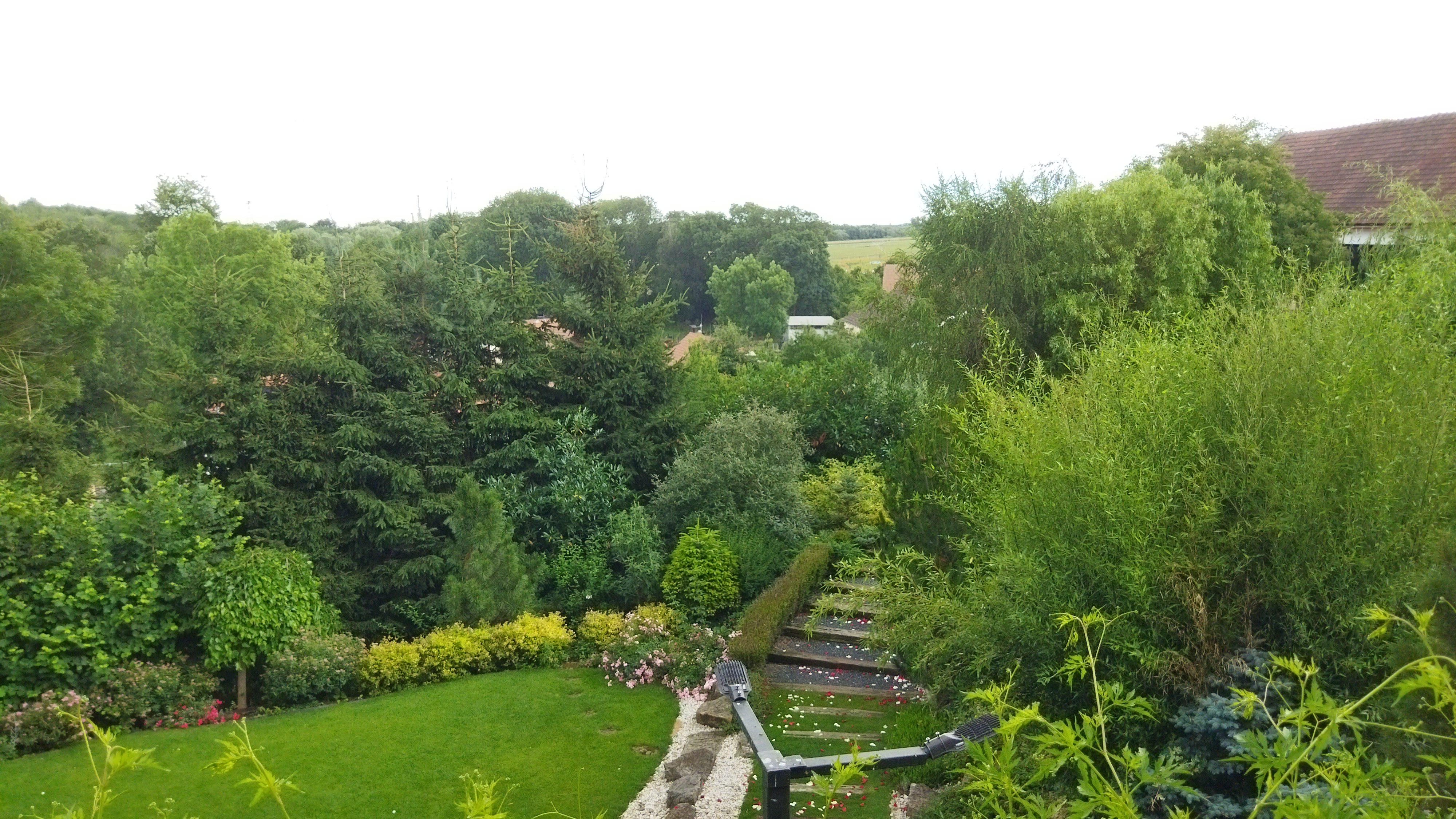 Restaurace U Lonských foto 3