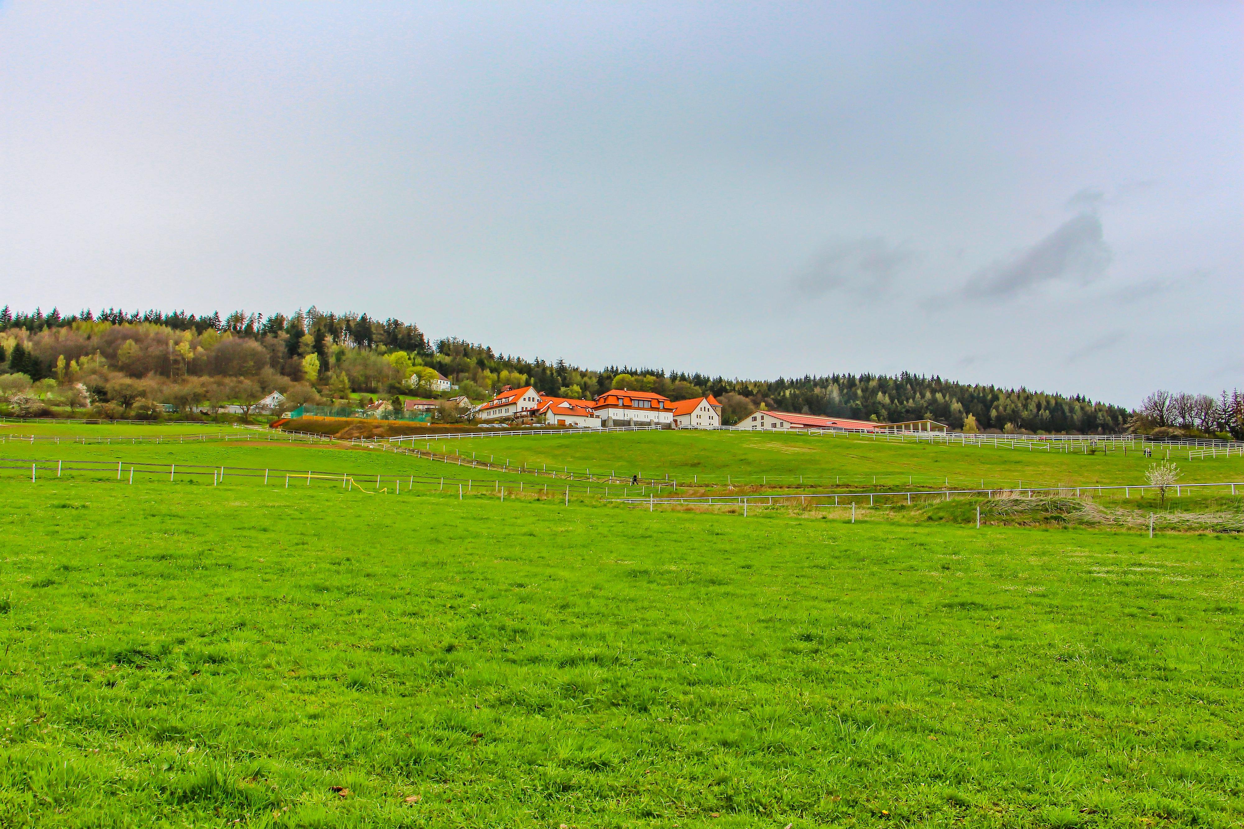 Restaurace Dvůr Krutěnice foto 6