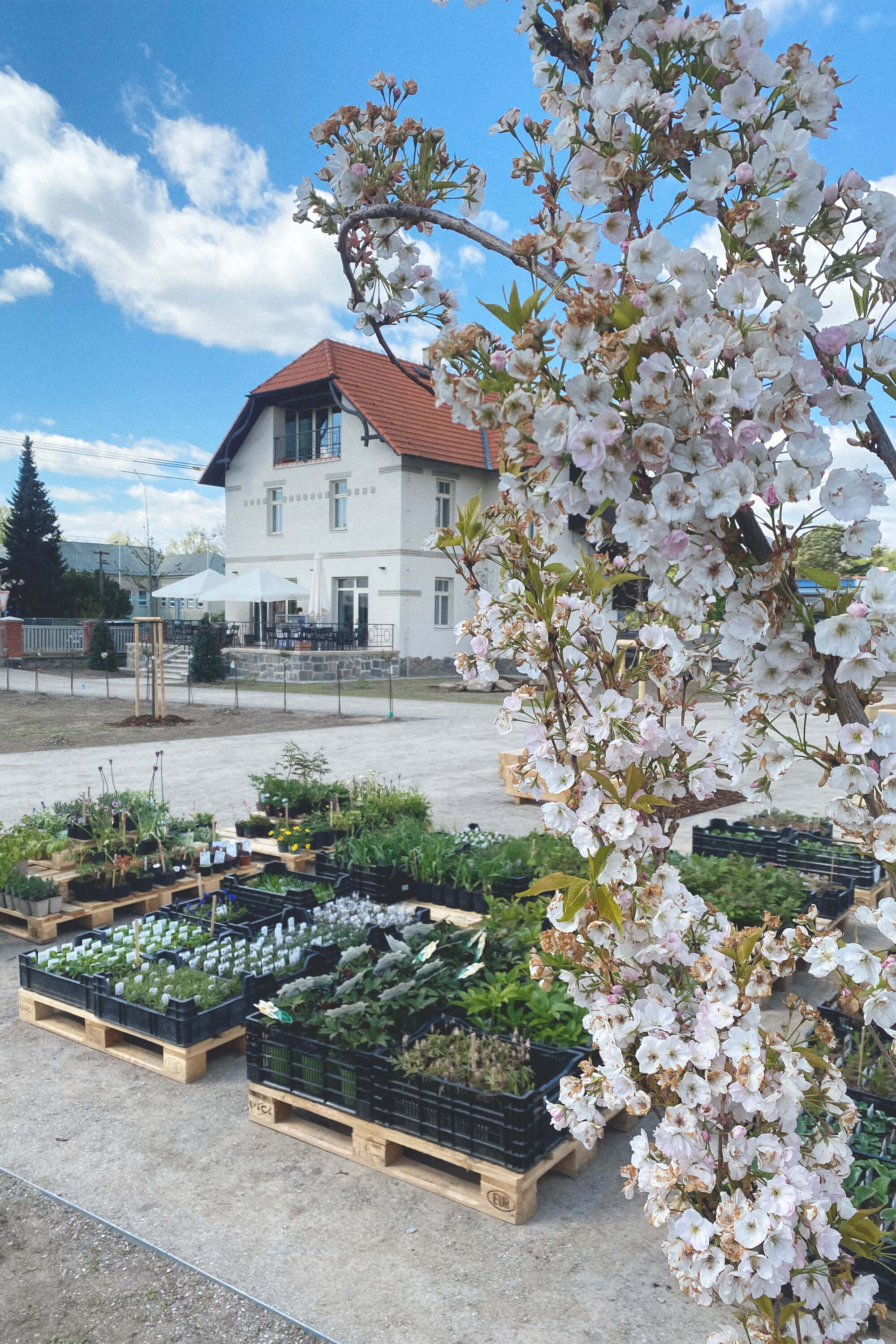 Folkovna foto 3