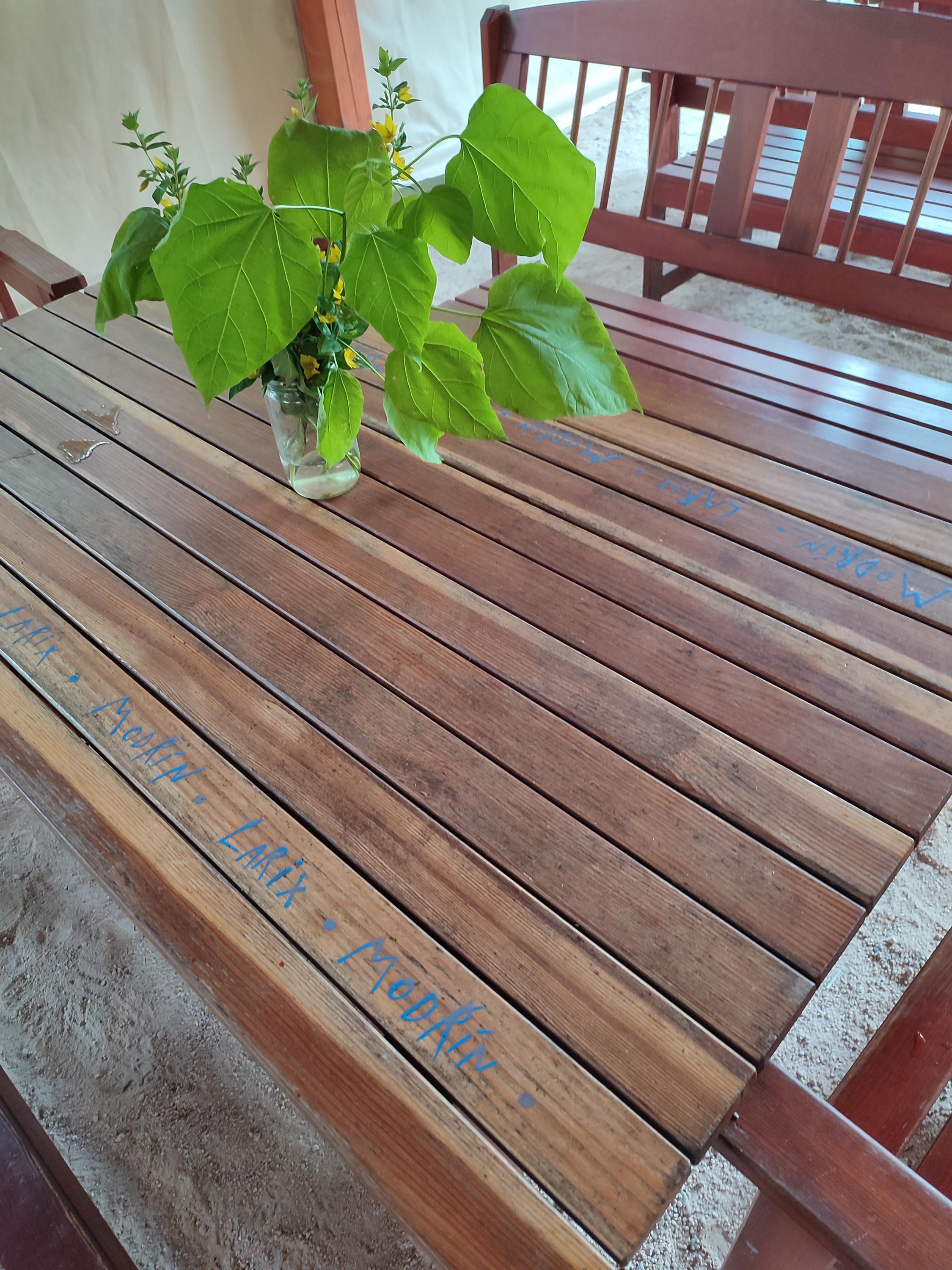 Občerstvení Bečovská botanická zahrada foto 6