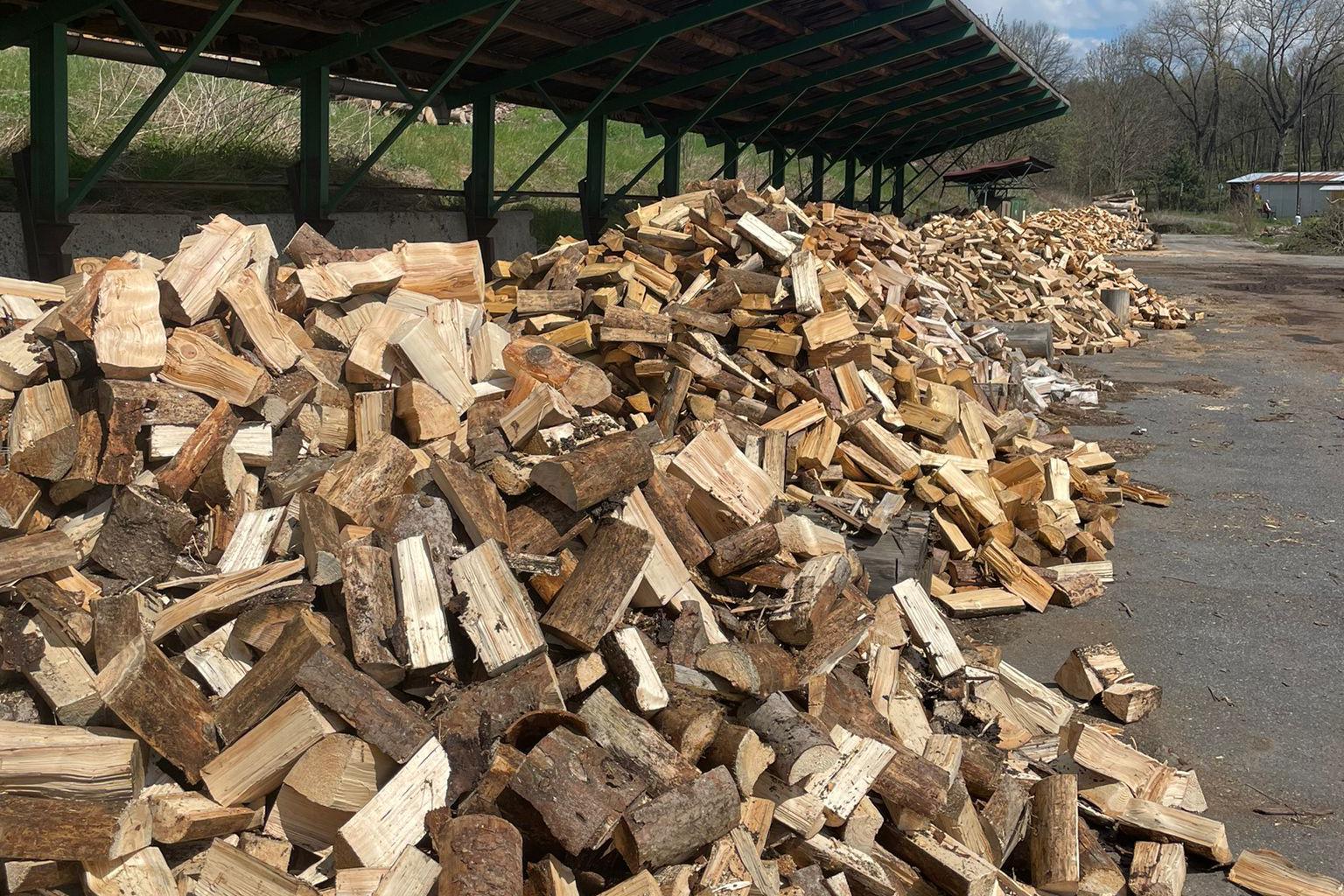Nejlevnější štípané palivové dřevo vSušici a okolí