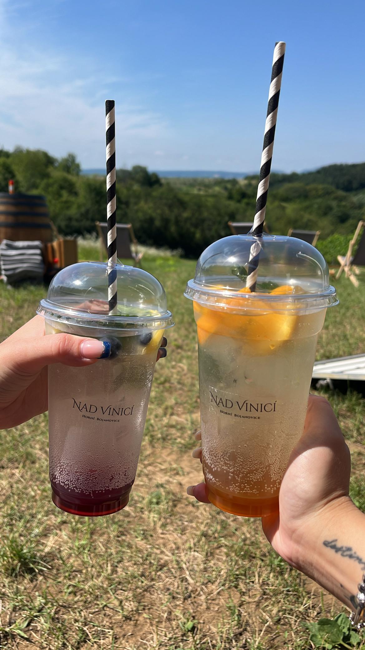 NAD VINICÍ foto 1