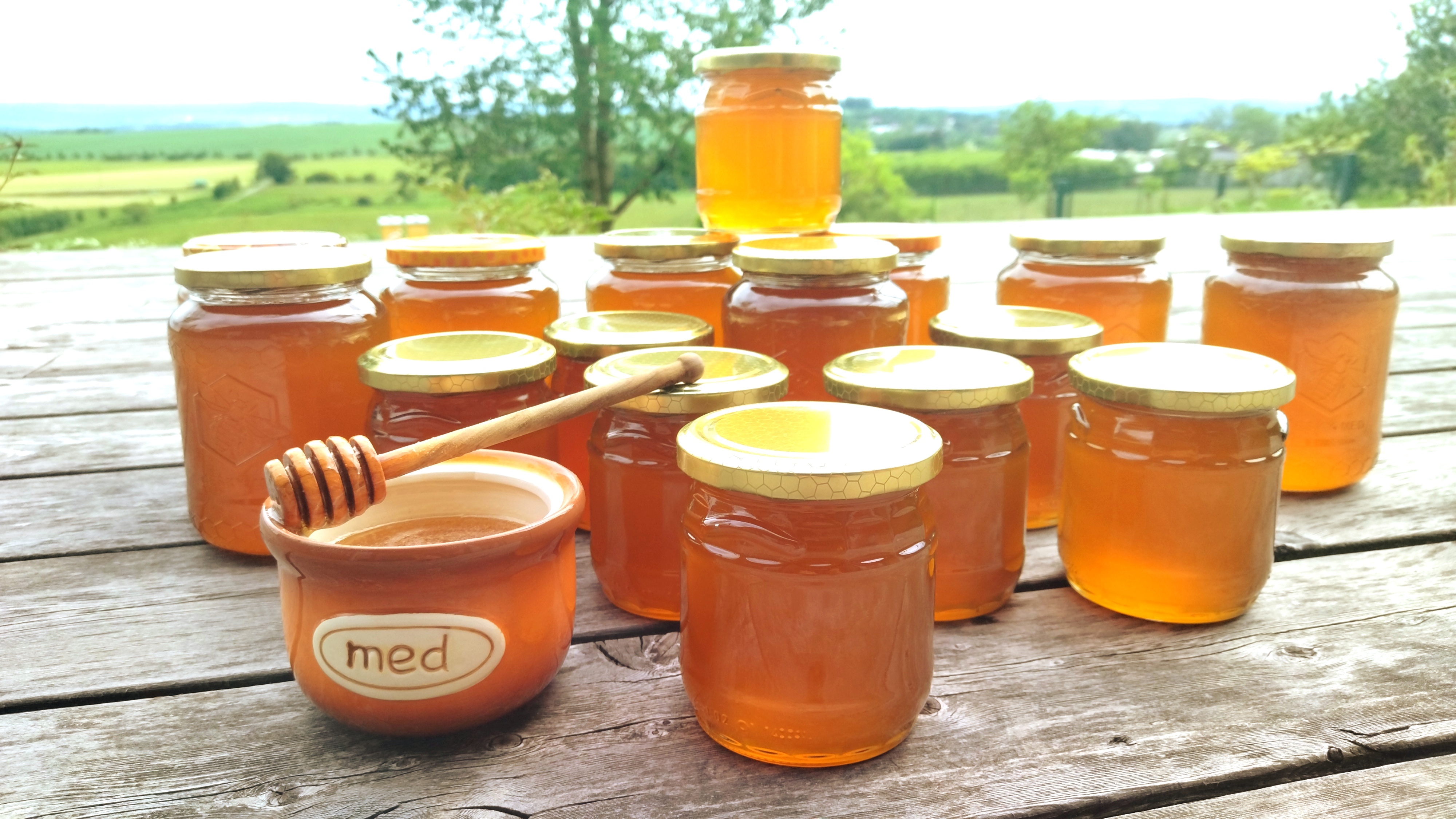 Prodej medu Divišov