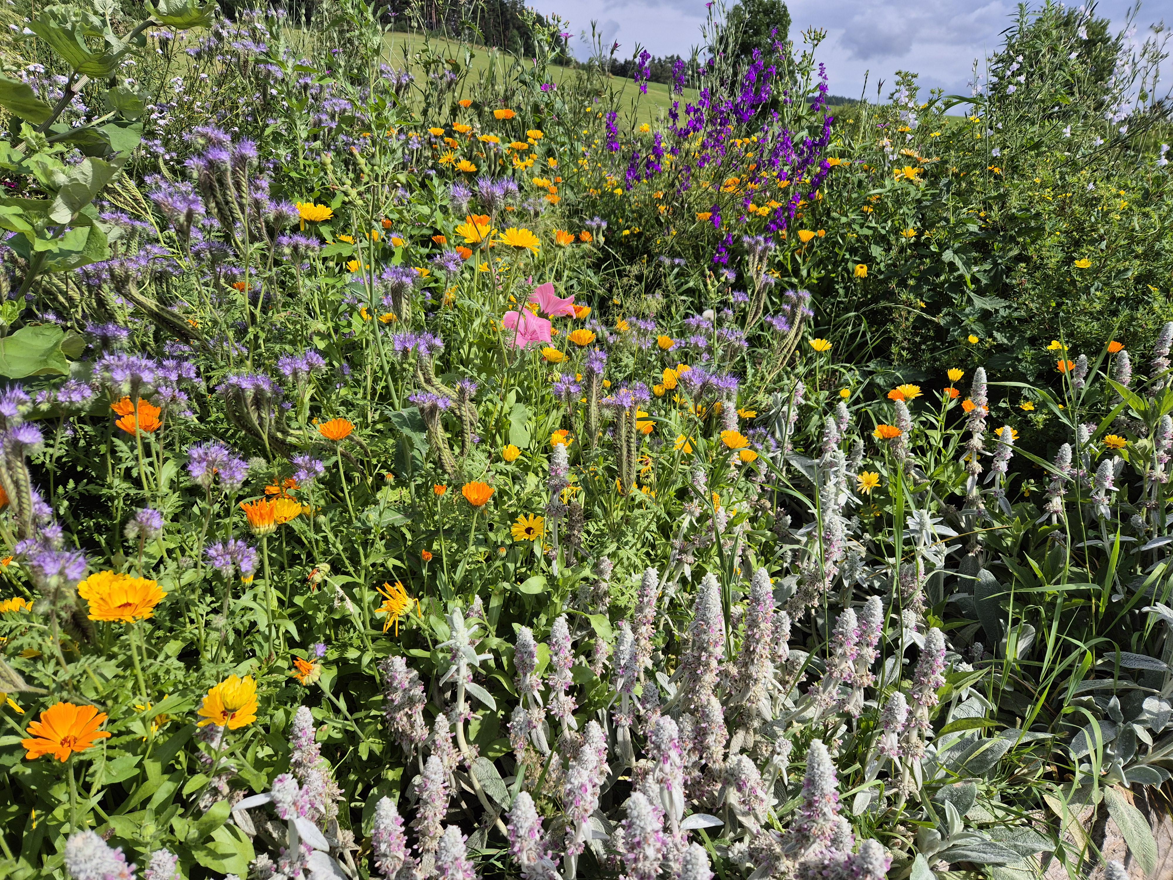 Pastvina: Jedlý park a Minizoo foto 5