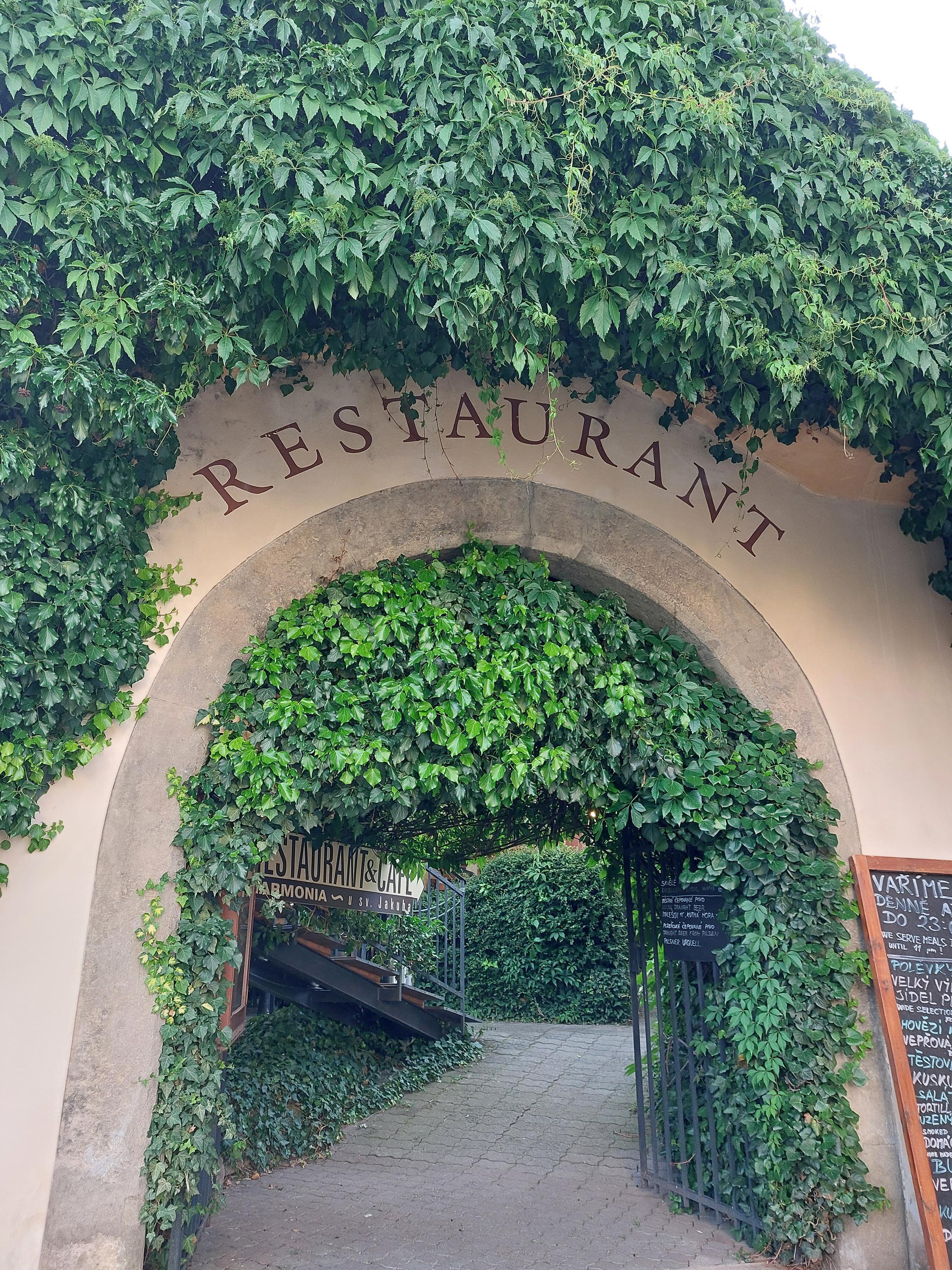 Restaurant Harmonia foto 5