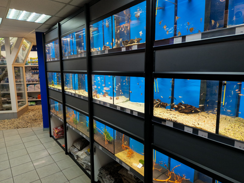 Juwelakvarium.cz foto 4