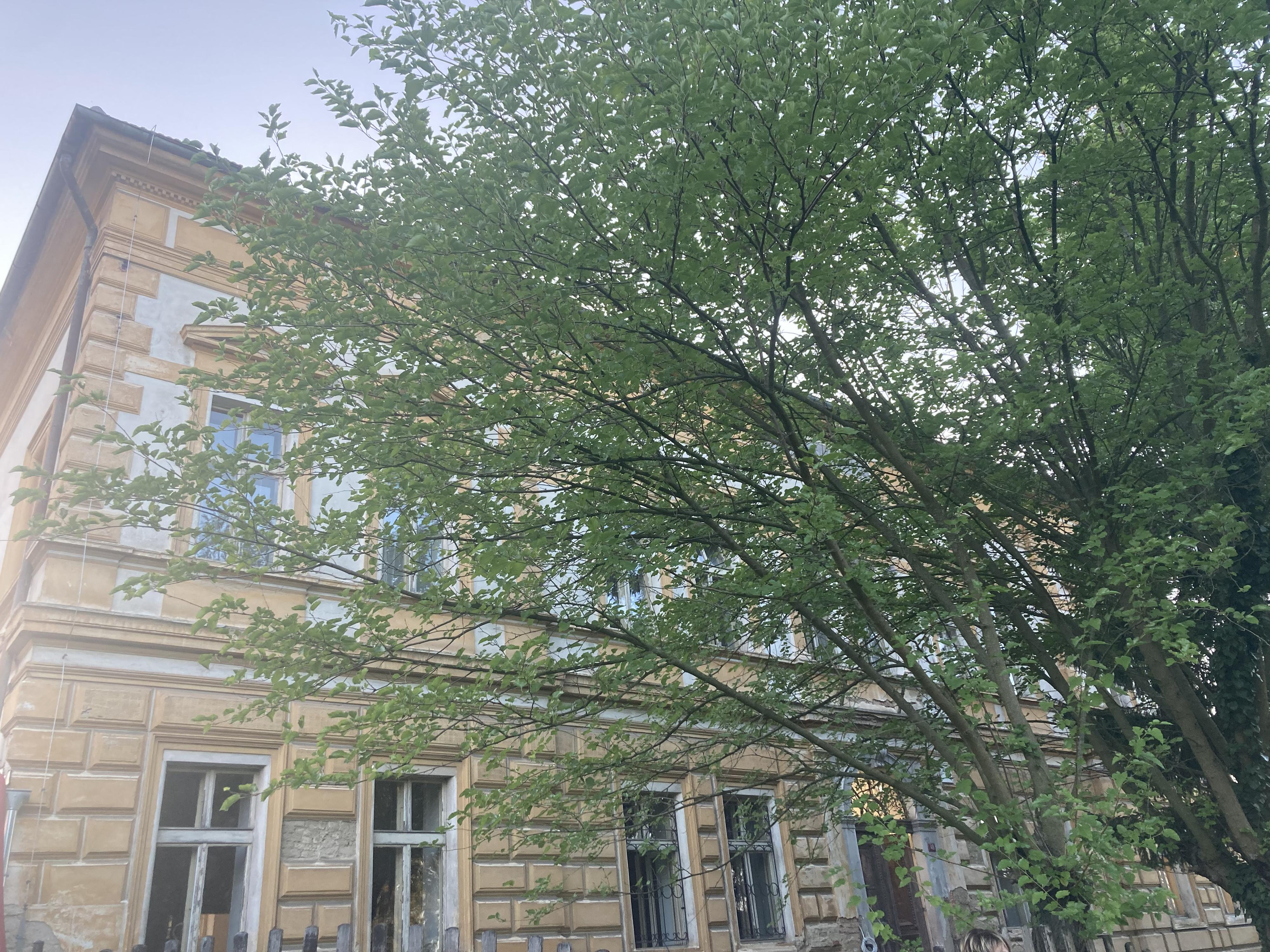 ZŠ a MŠ Montessori Slaný foto 2