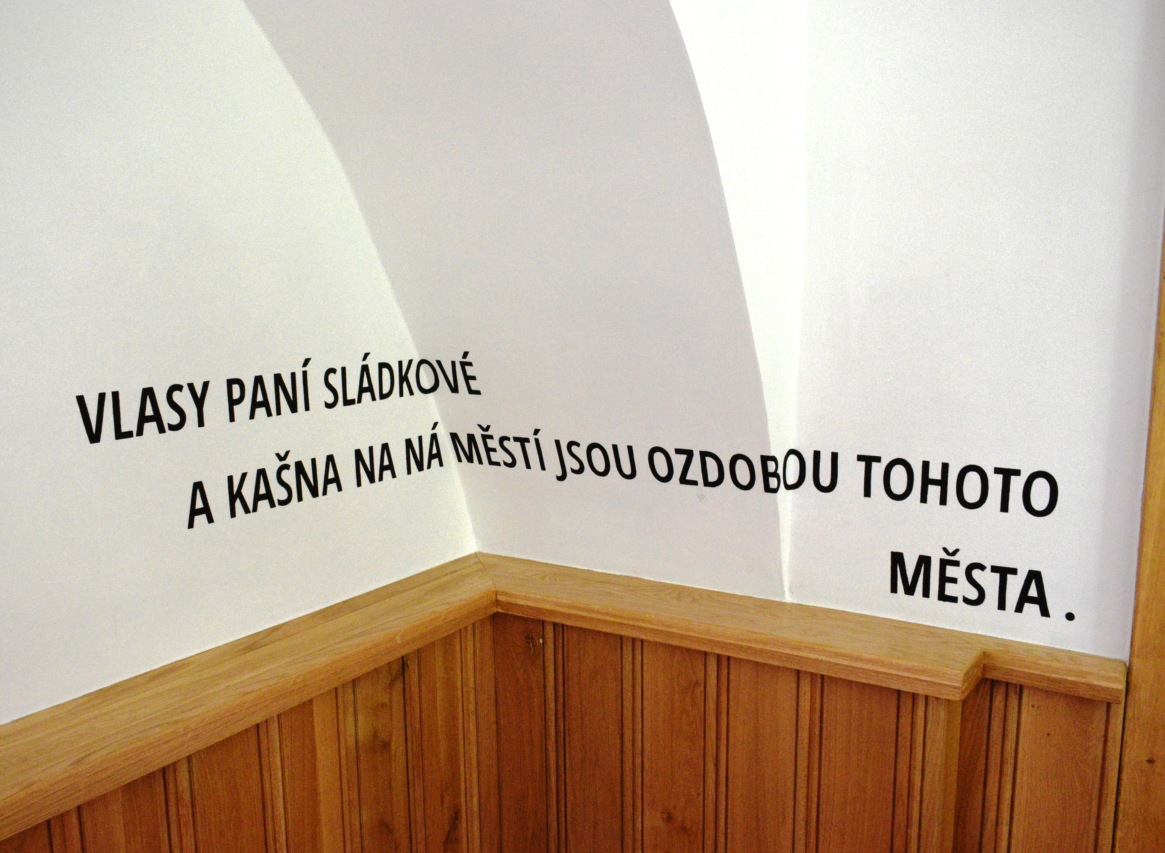 Muzeum - AKCIOVÝ PIVOVAR DALEŠICE foto 5