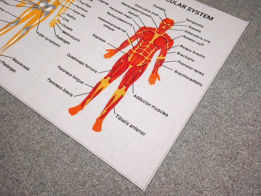 DidaktickeKoberce.cz foto 6