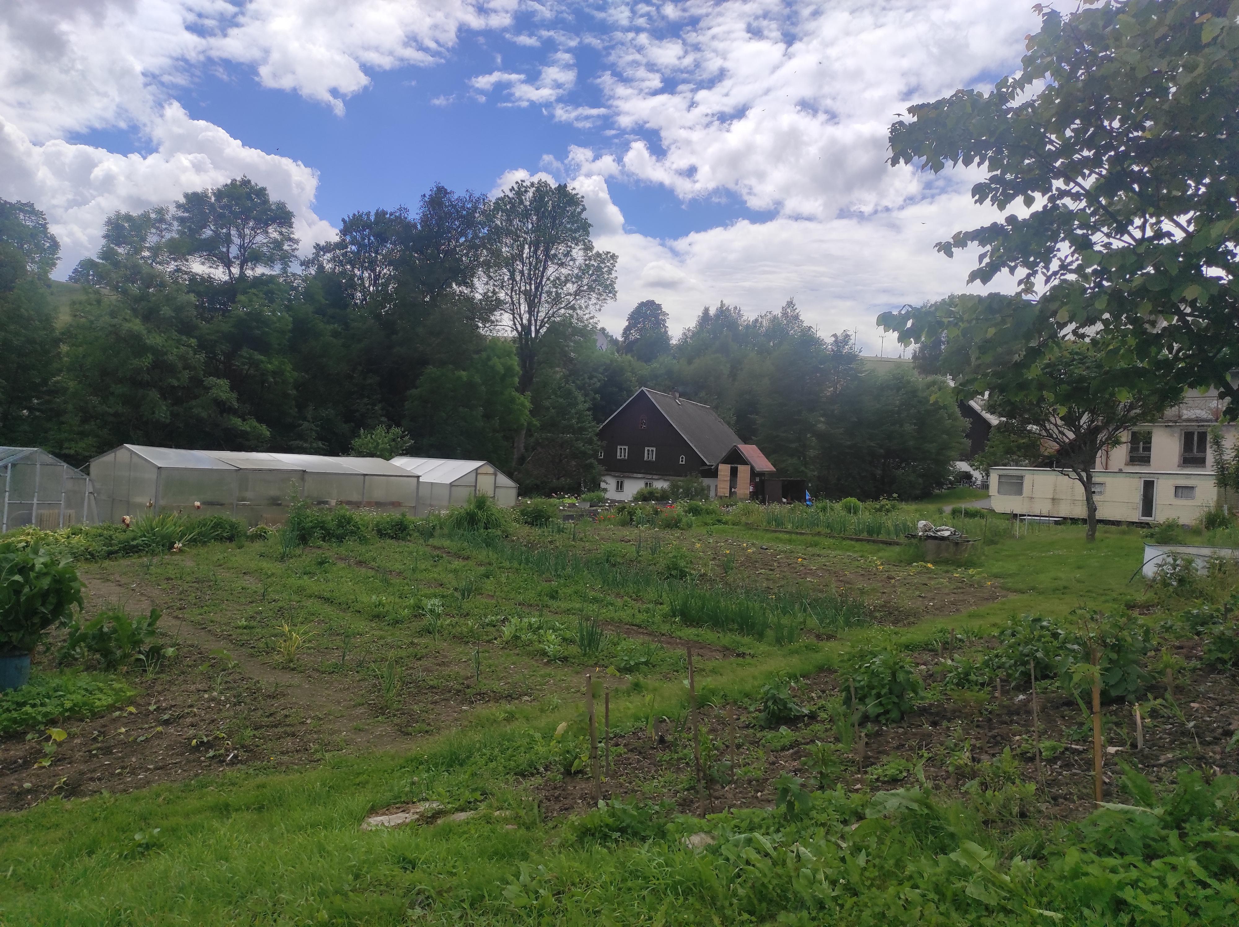 Zahradnictví - samoobslužný prodej foto 5